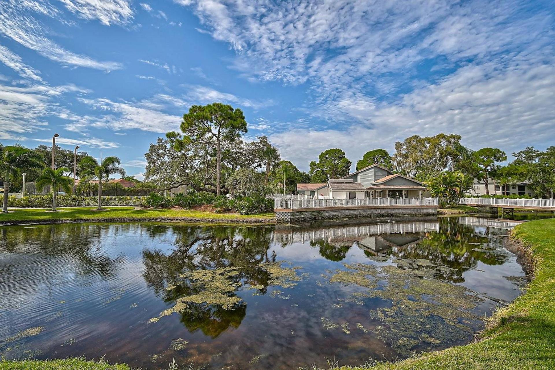 Shore Serenity