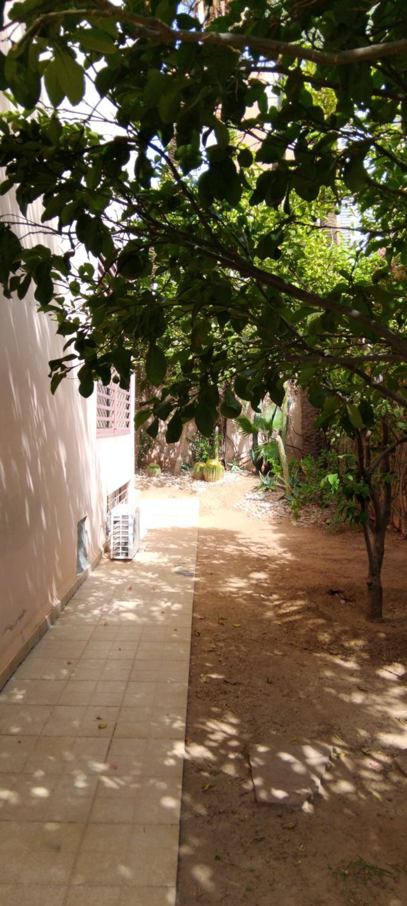 Photo 35