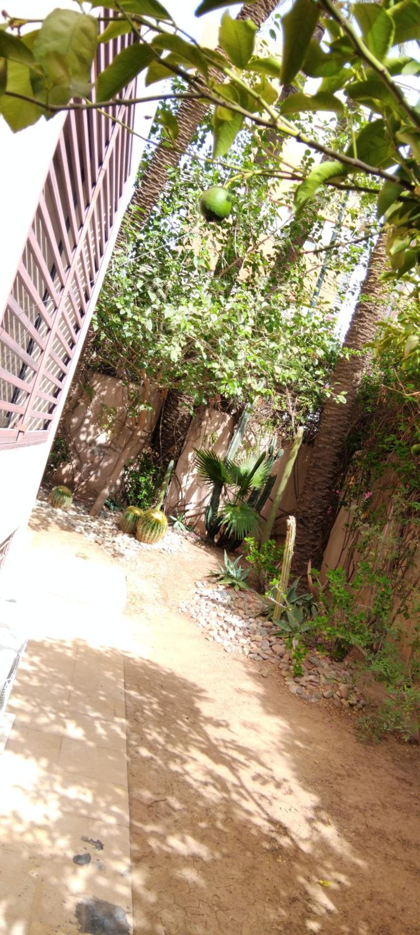 Photo 39