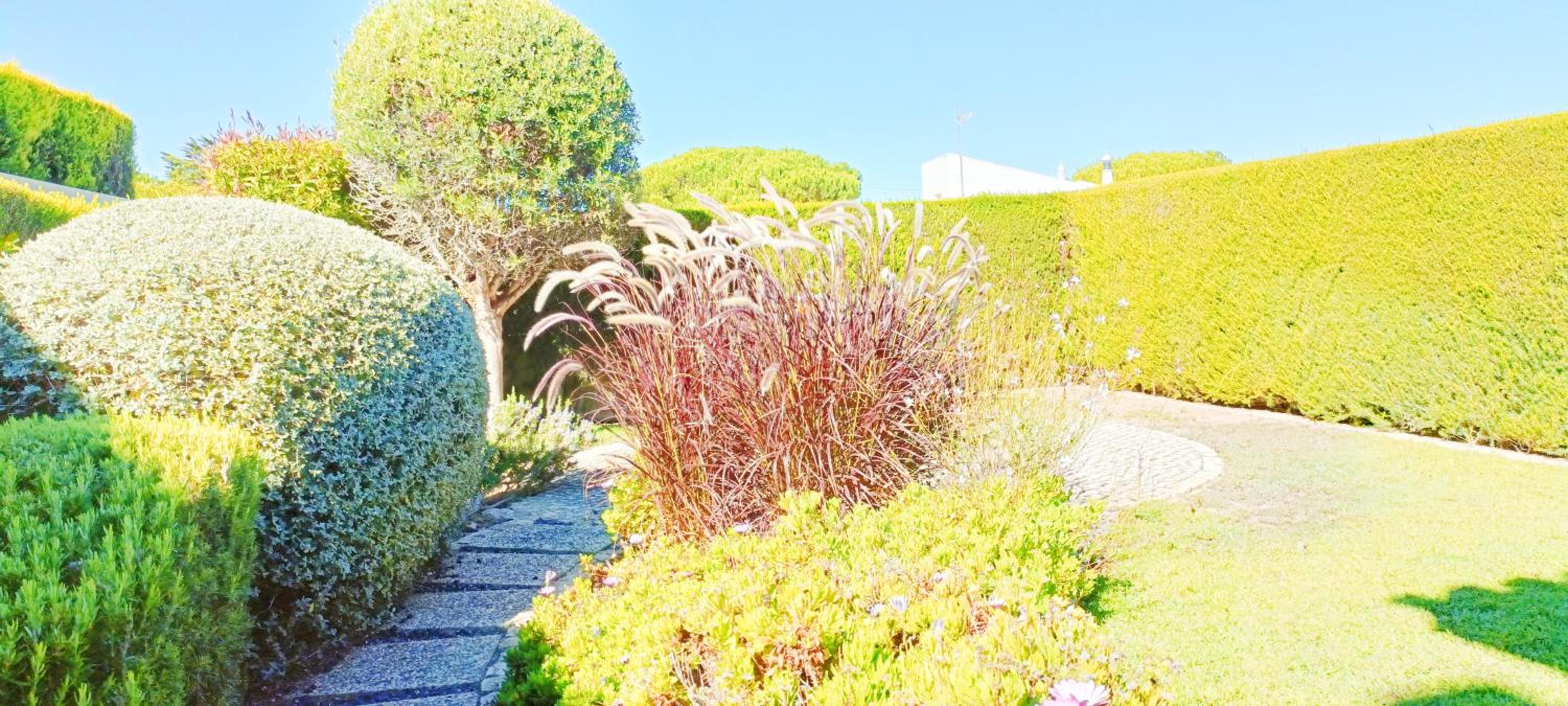 Sagres Mar