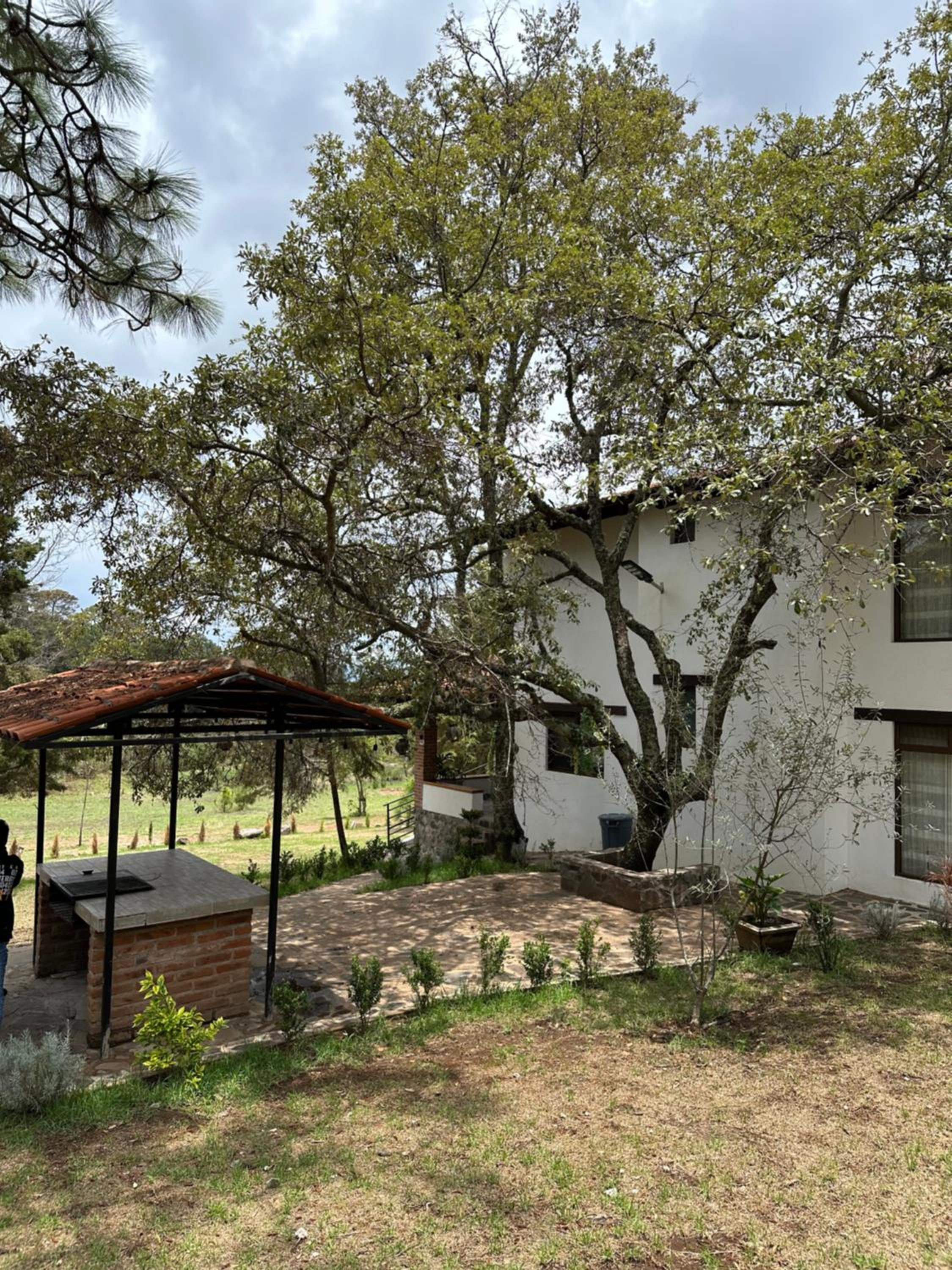Cabañas Rinconada Tapalpa view 4