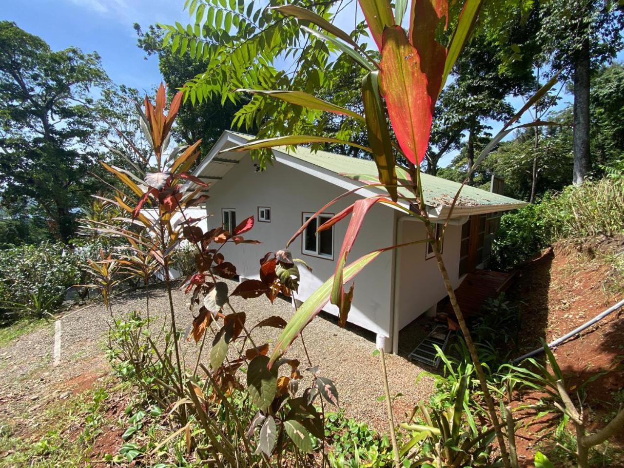 Casa CISCO Maison Privée vue sur mer