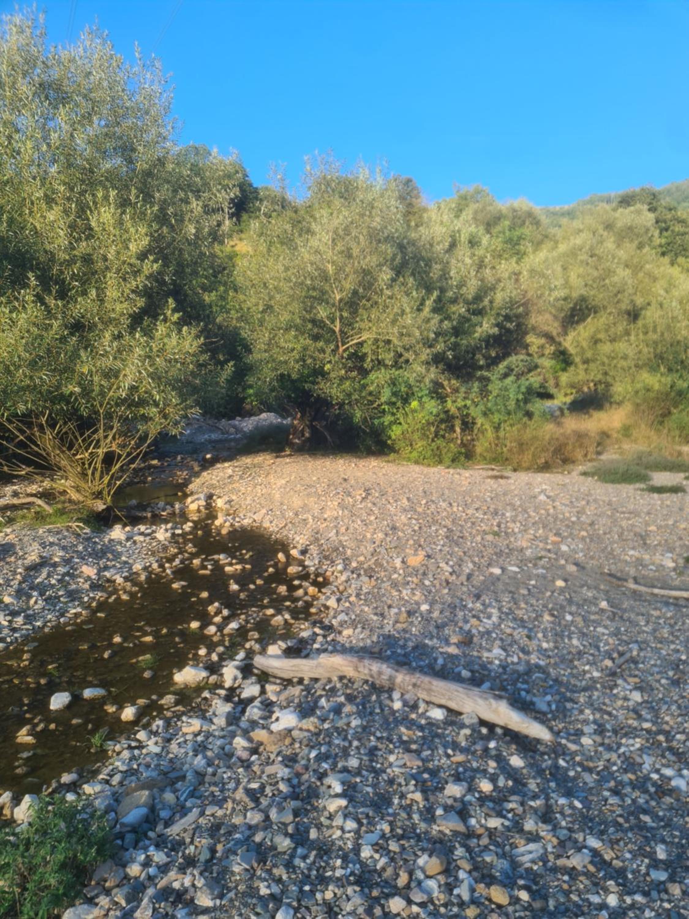 Just Nature or Rahatluk