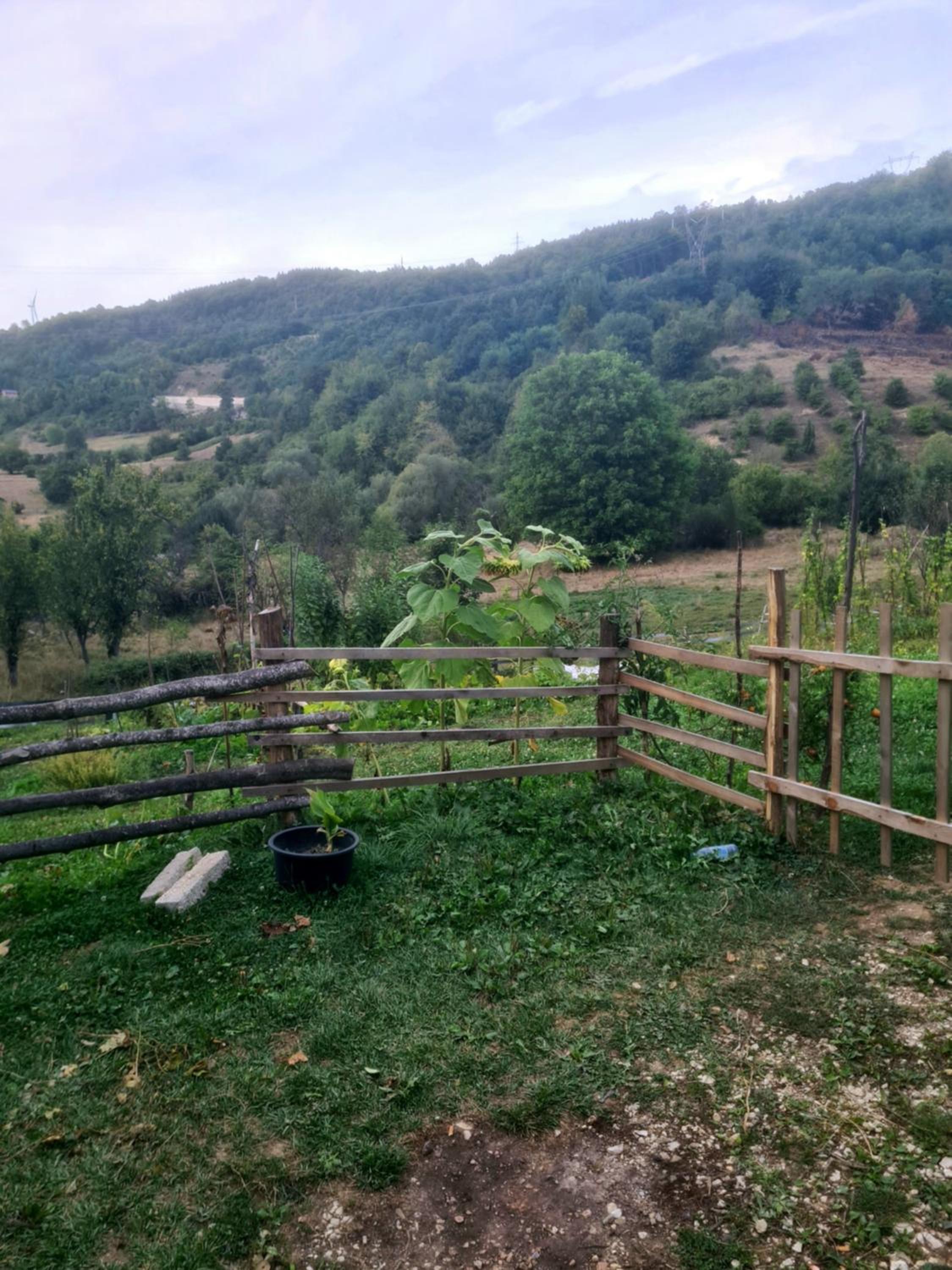 Just Nature or Rahatluk