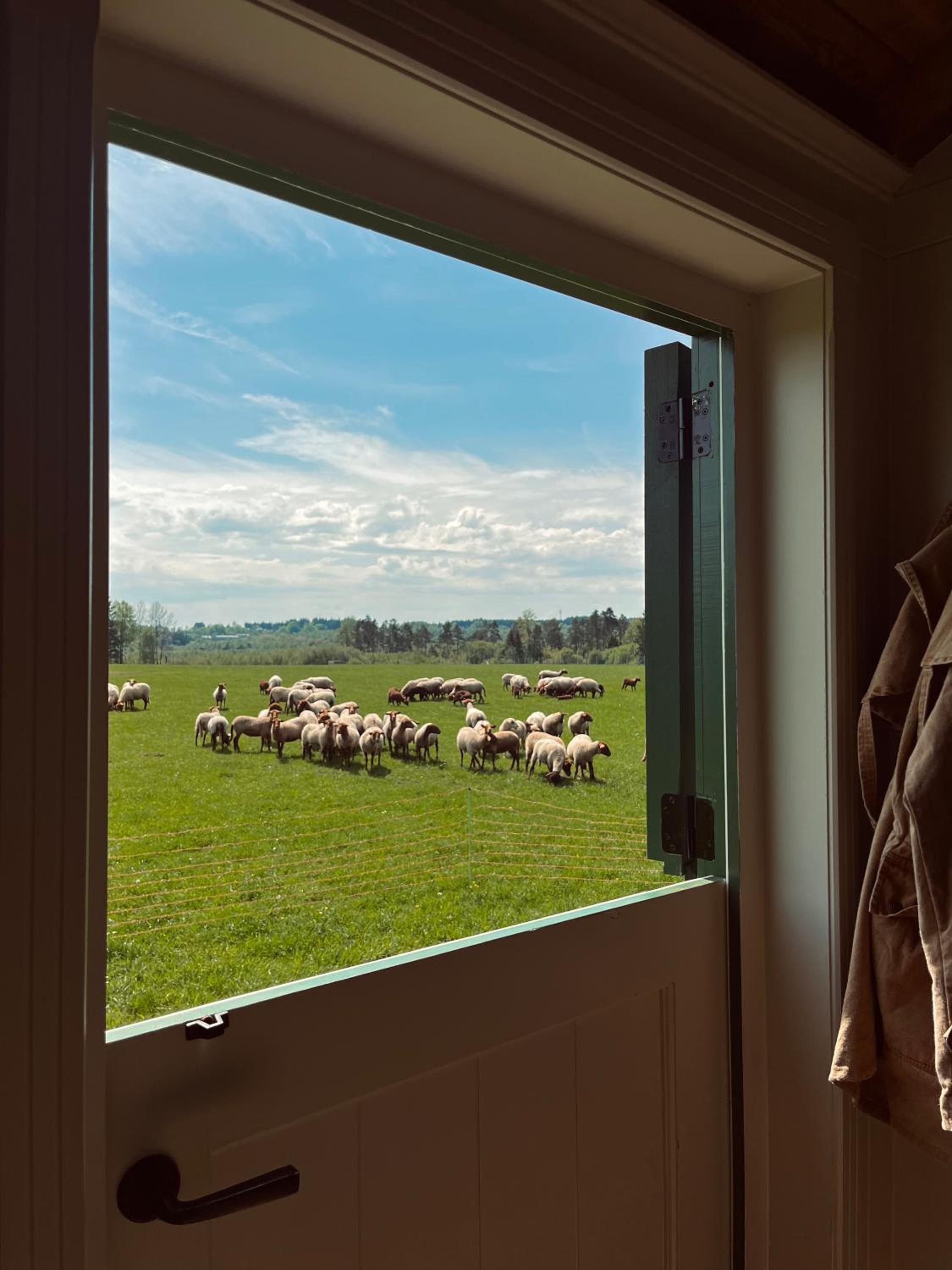 The Green Shepherd, a charming authentic cabin surrounded by beautiful countryside