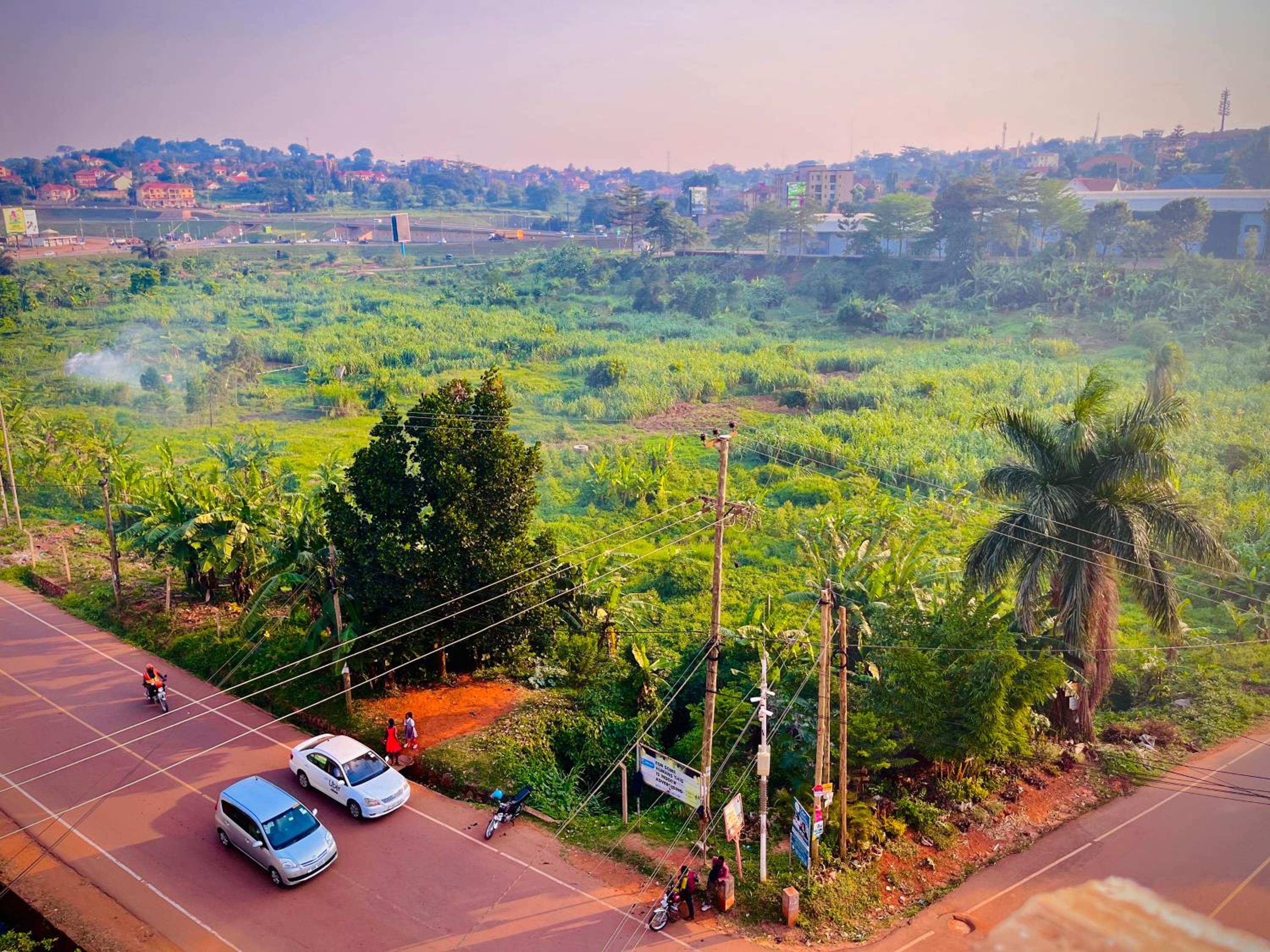 Saginias Nest view 4