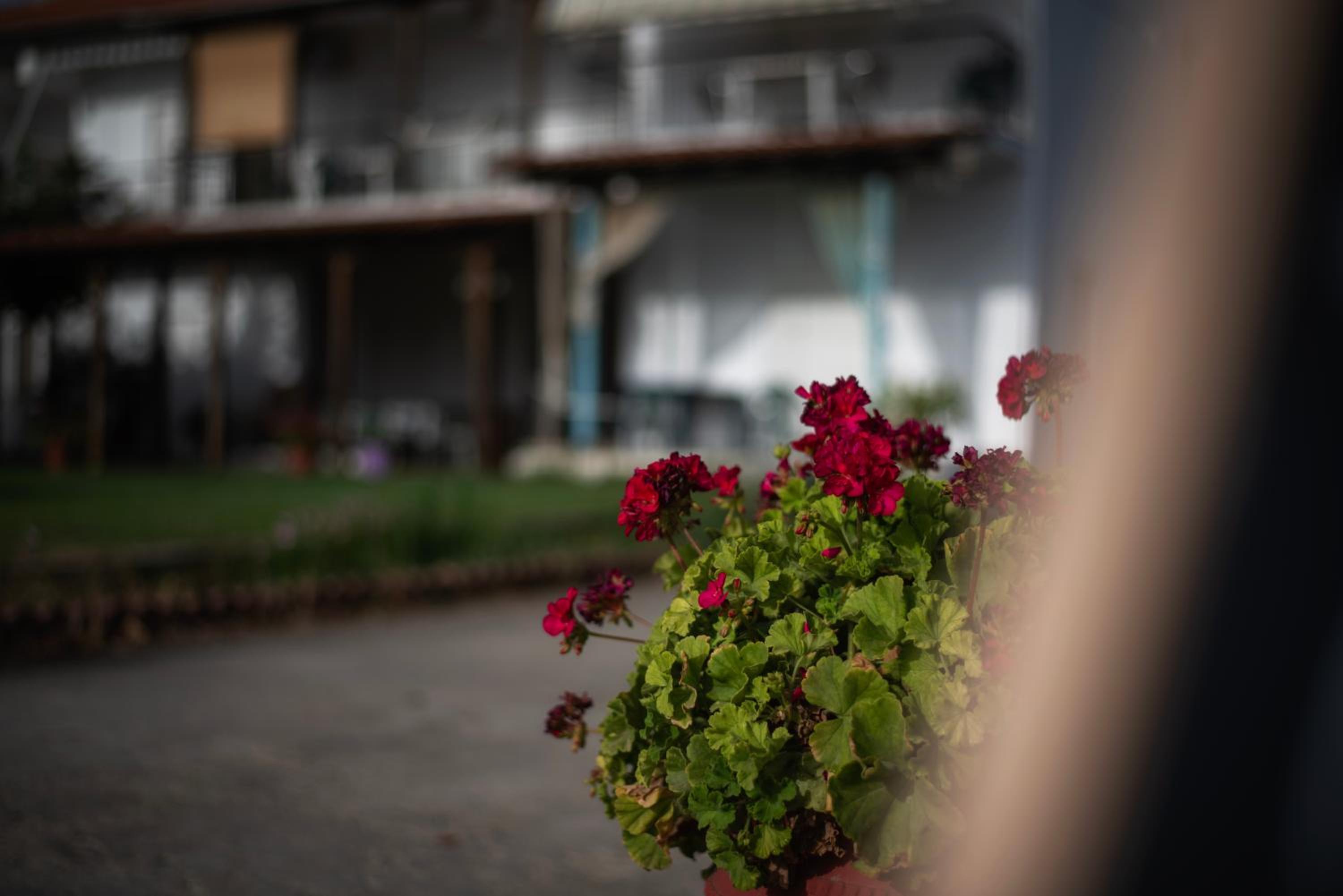 Marilena Apartments Anastasiou