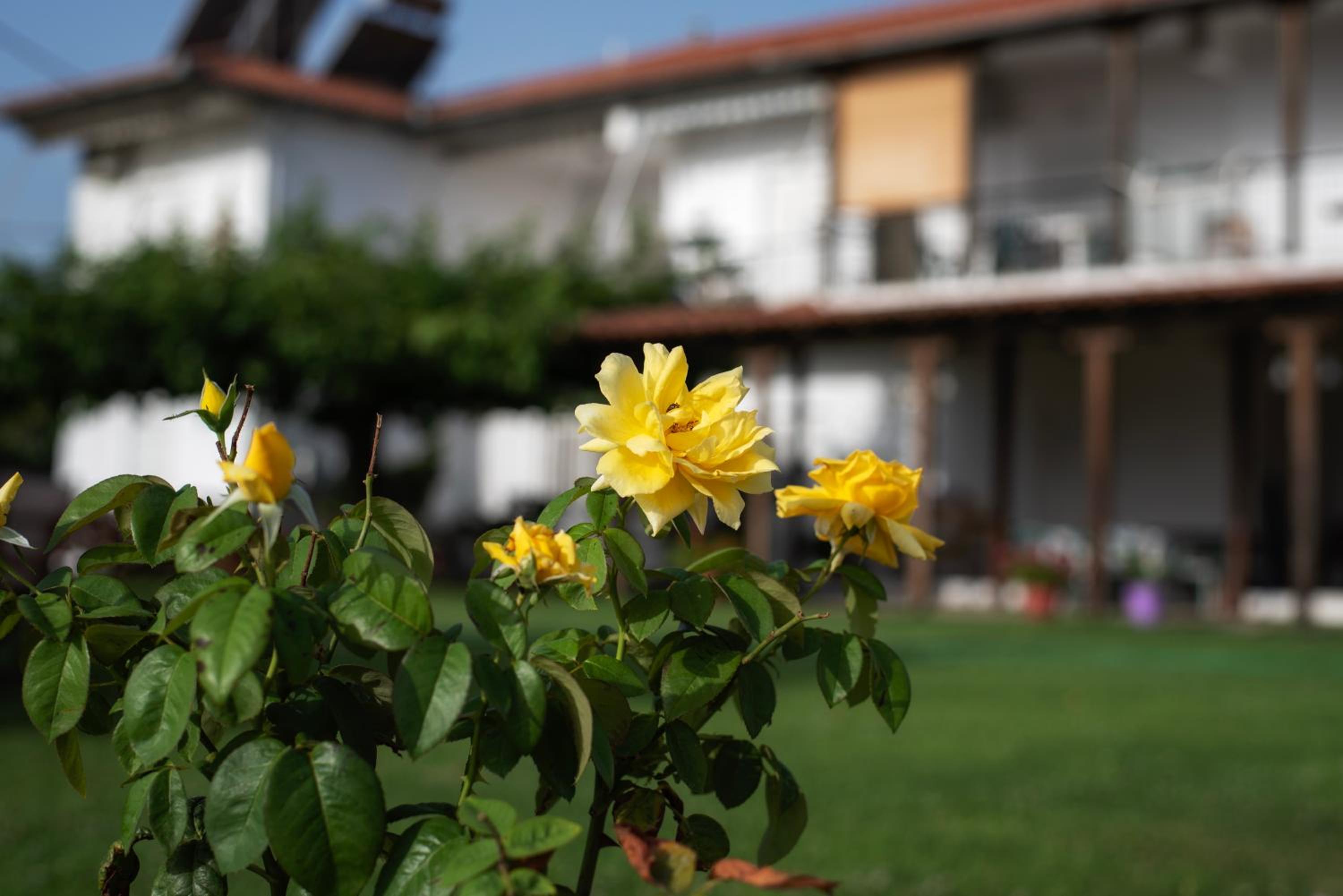 Marilena Apartments Anastasiou