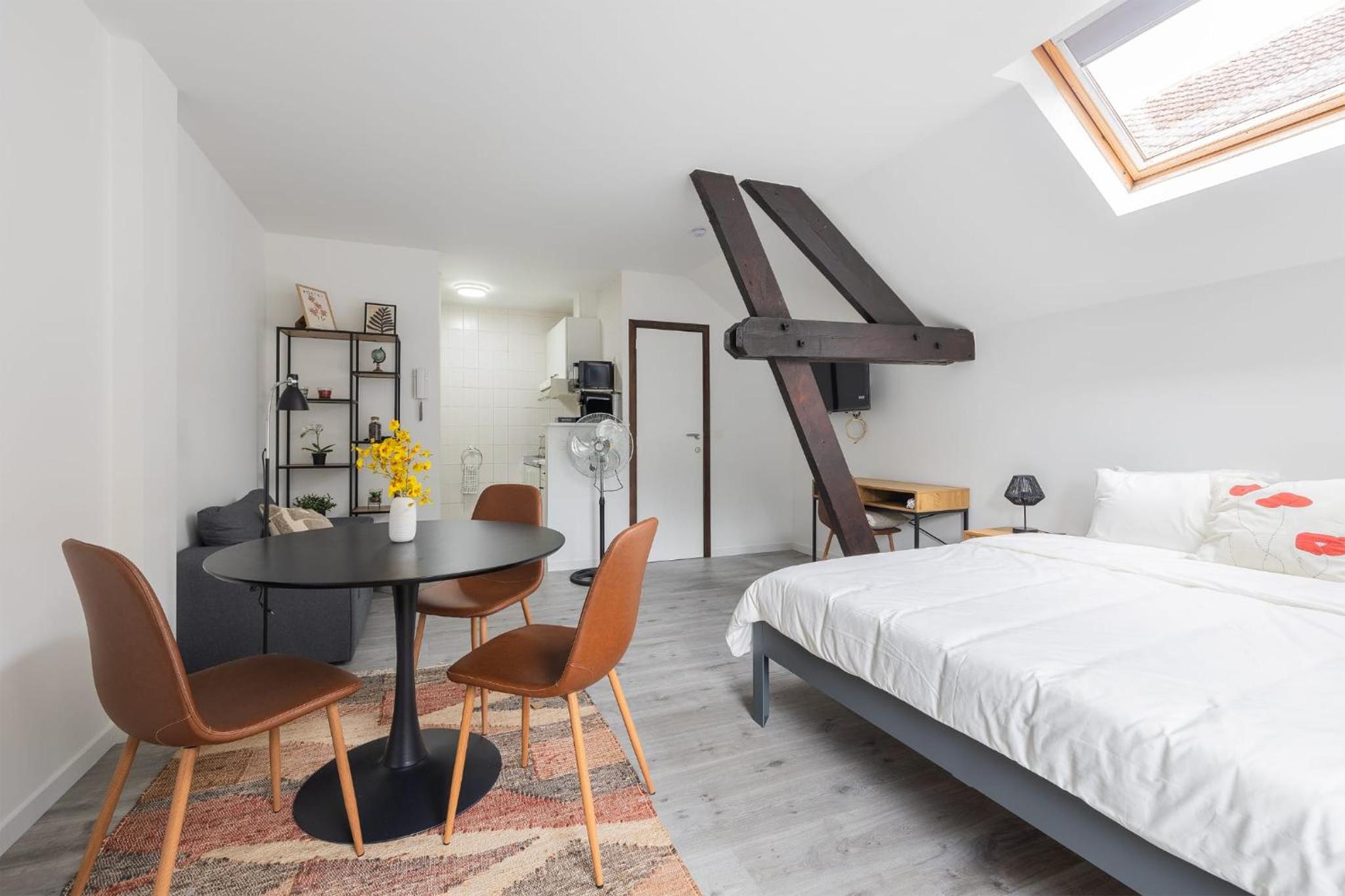 Cosy Place Brussels Expo 200