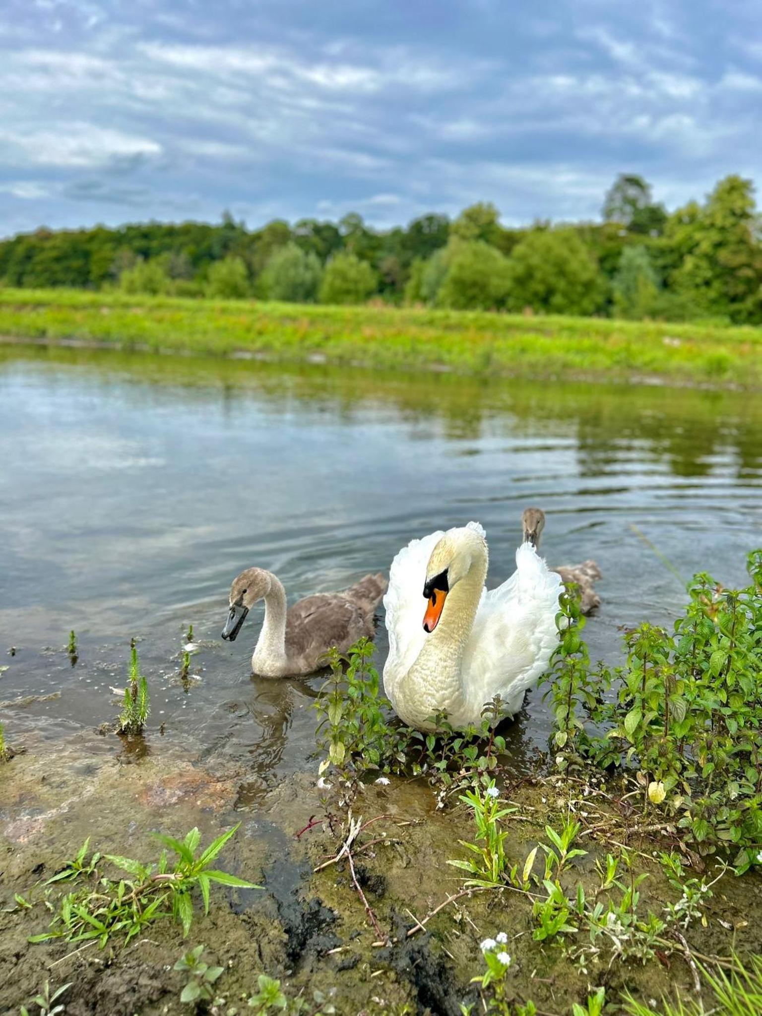 other