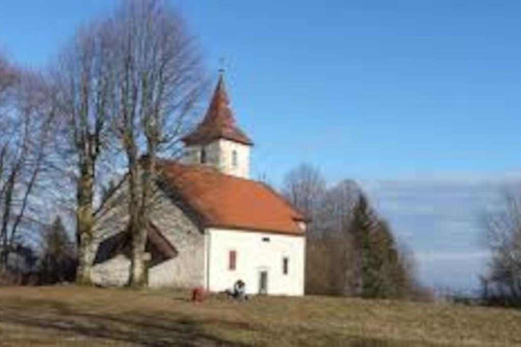 Photo 24