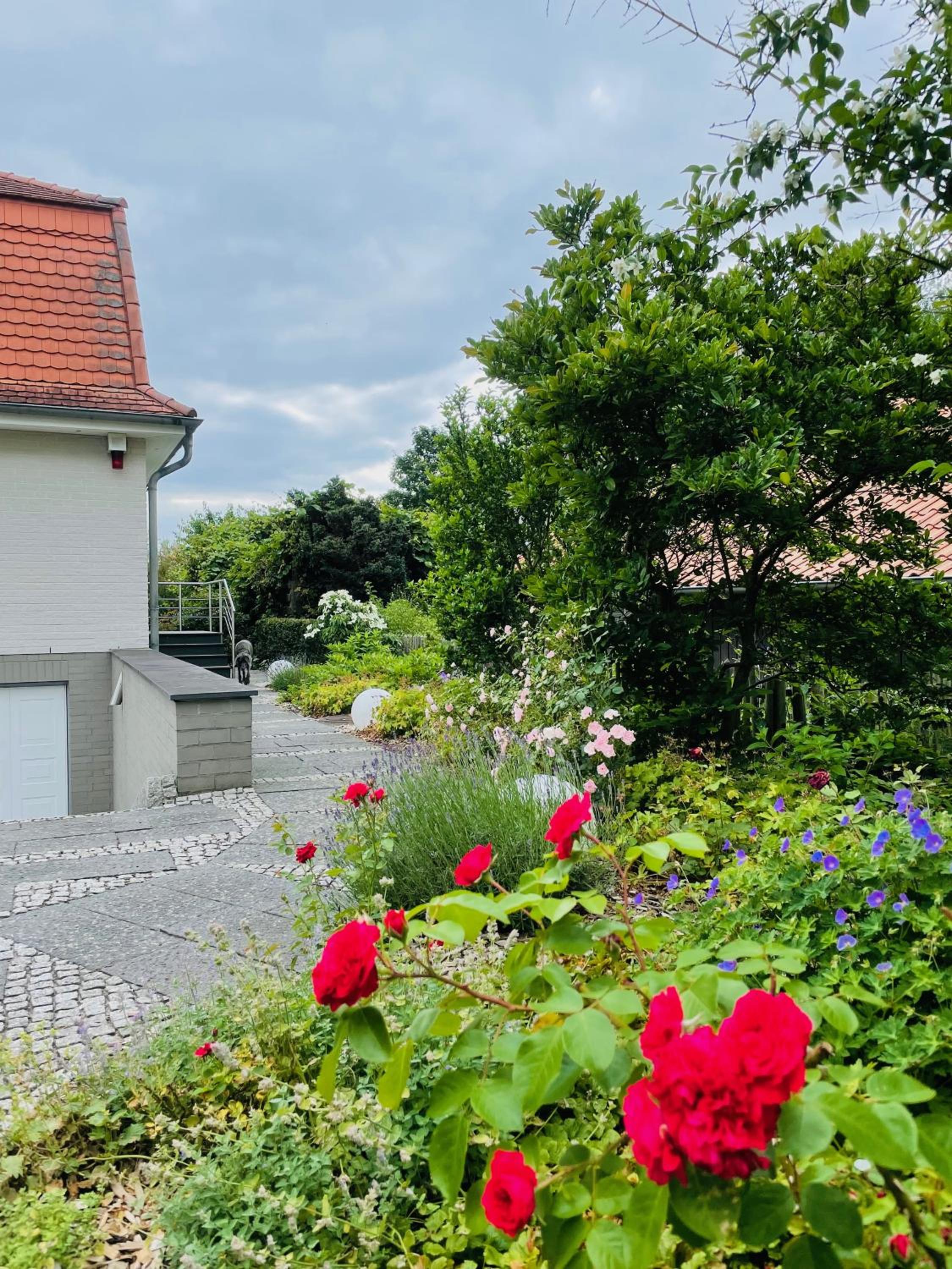 Eine ruhig gelegene Wohnung in der Natur
