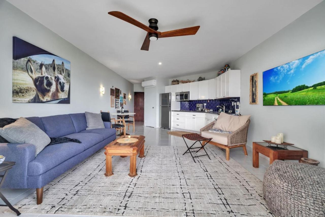 1BD-1BA Costa Azul Beachfront
