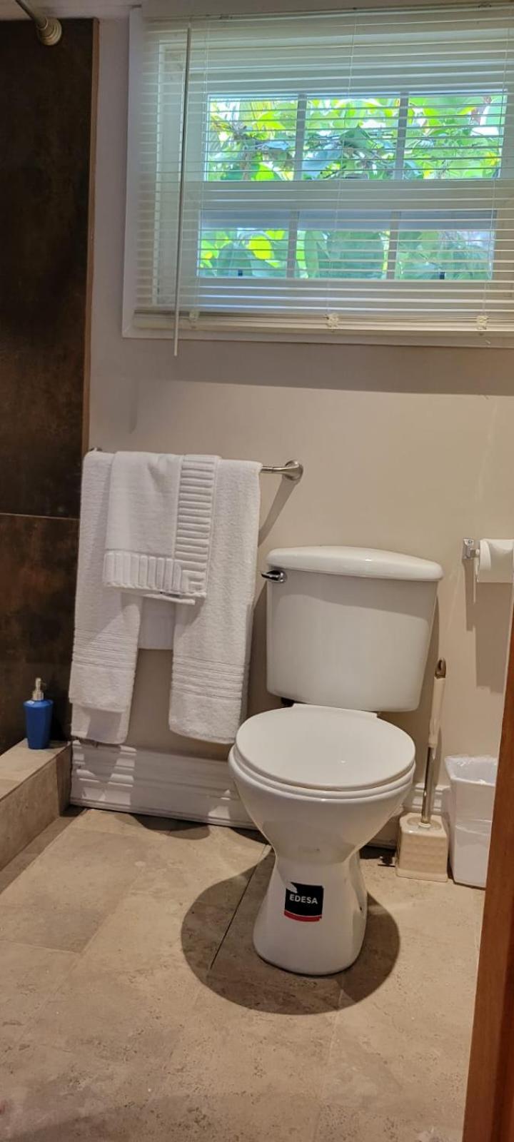Caye Caulker Boutique Guesthouse 5