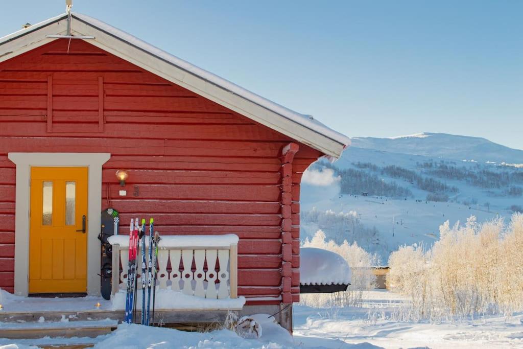 Mountain views Fjällbjörkstigen