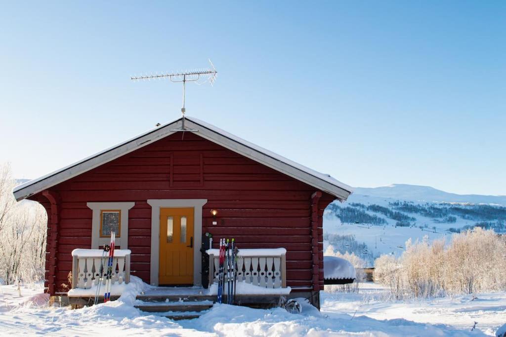 Mountain views Fjällbjörkstigen