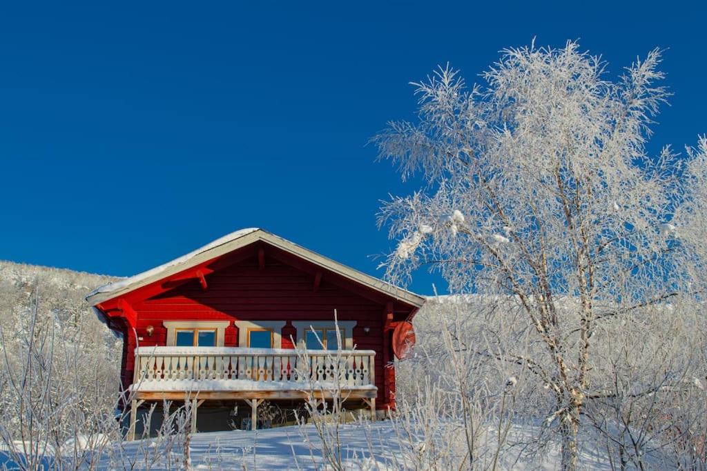 Mountain views Fjällbjörkstigen