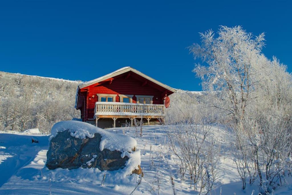 Mountain views Fjällbjörkstigen