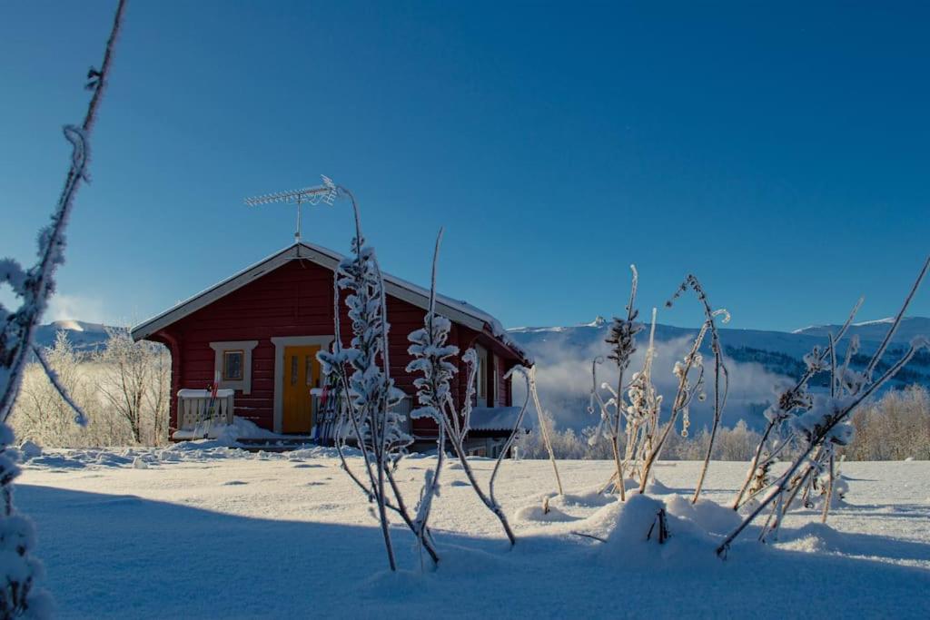 Mountain views Fjällbjörkstigen