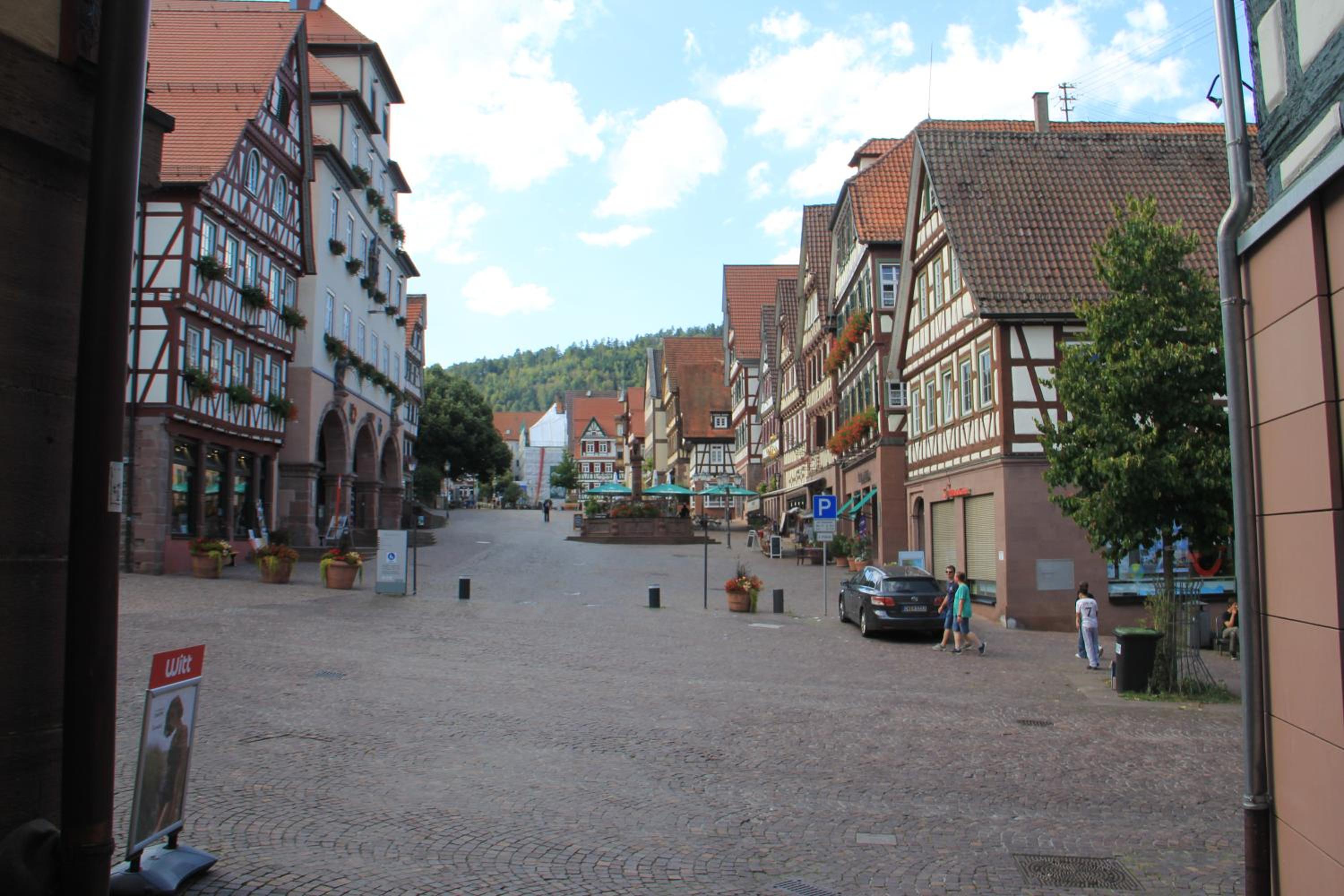 Fachwerk Apartment Calw