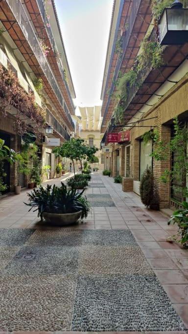 Apartamento en el casco histórico
