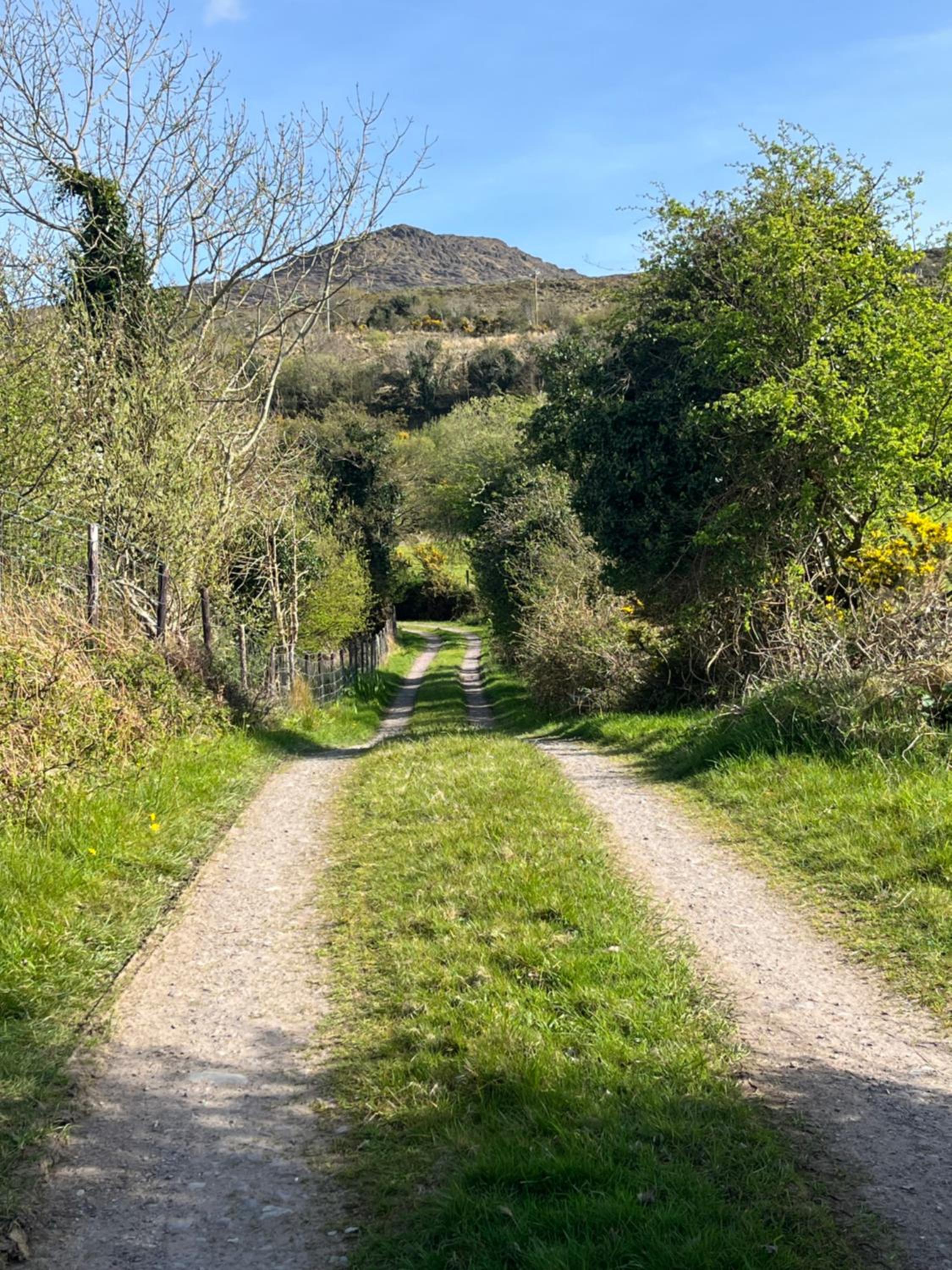 Canfee Cottage