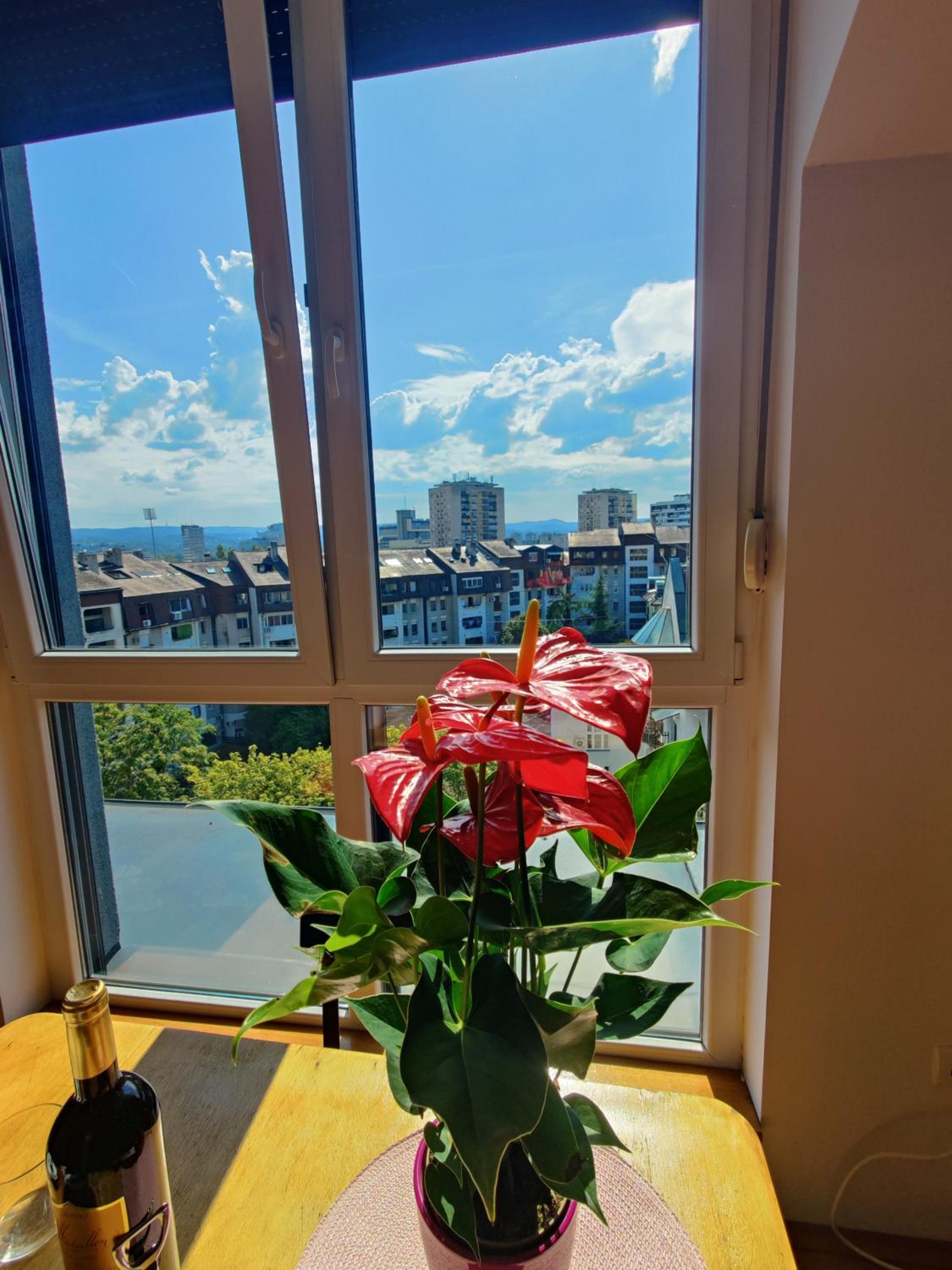 Dalija Apartment
