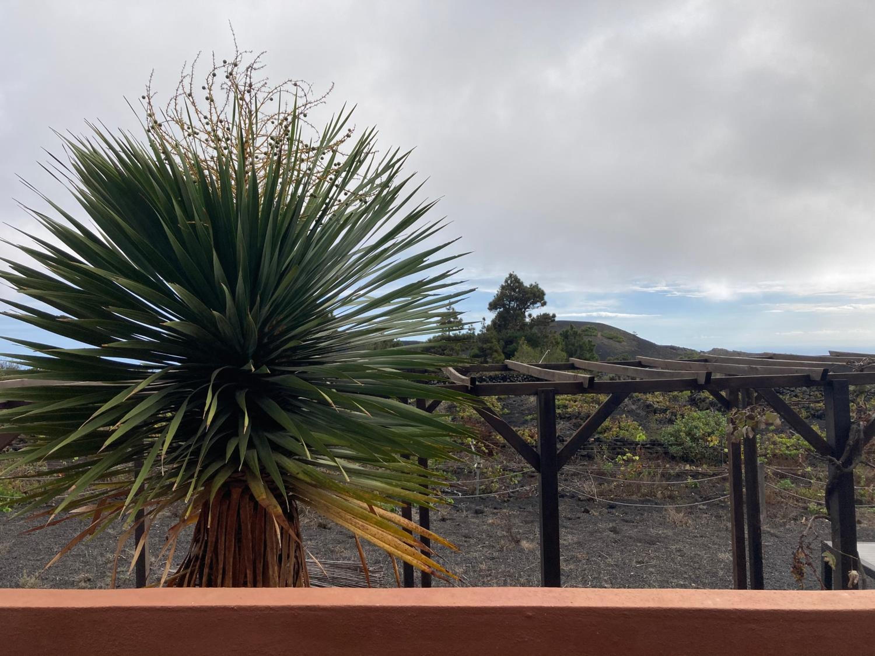 La Casa del Volcán view 3
