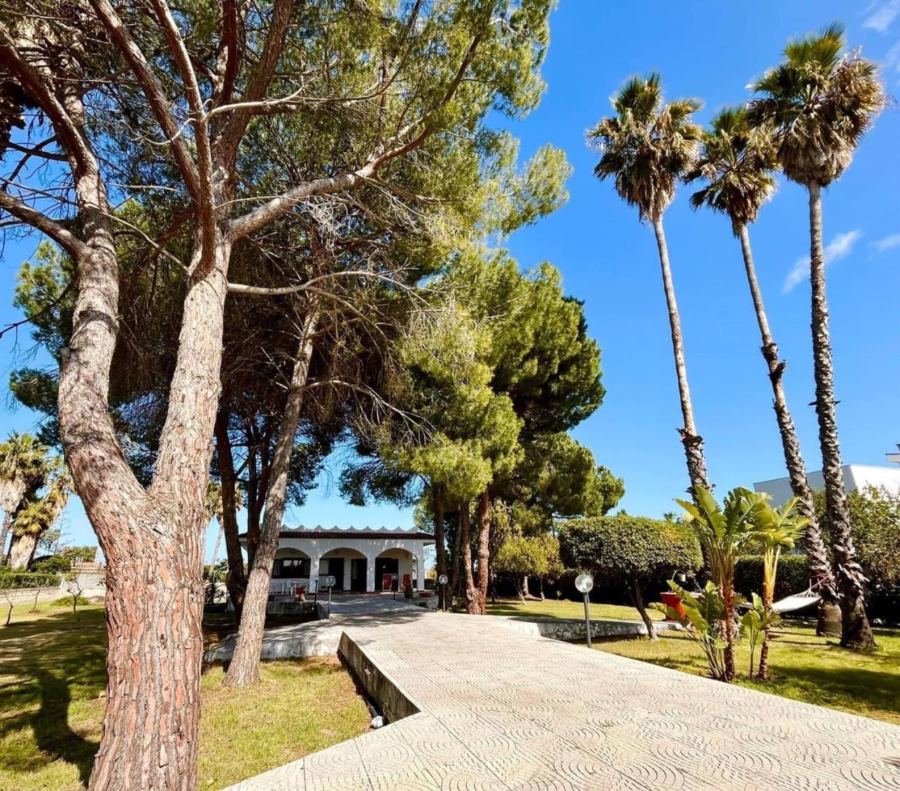 Villa la Pineta view 3