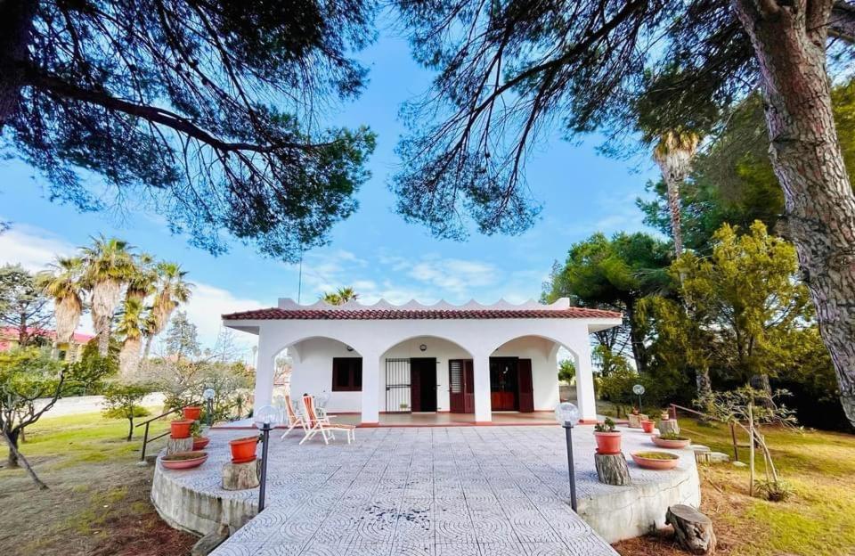 Villa la Pineta view 2