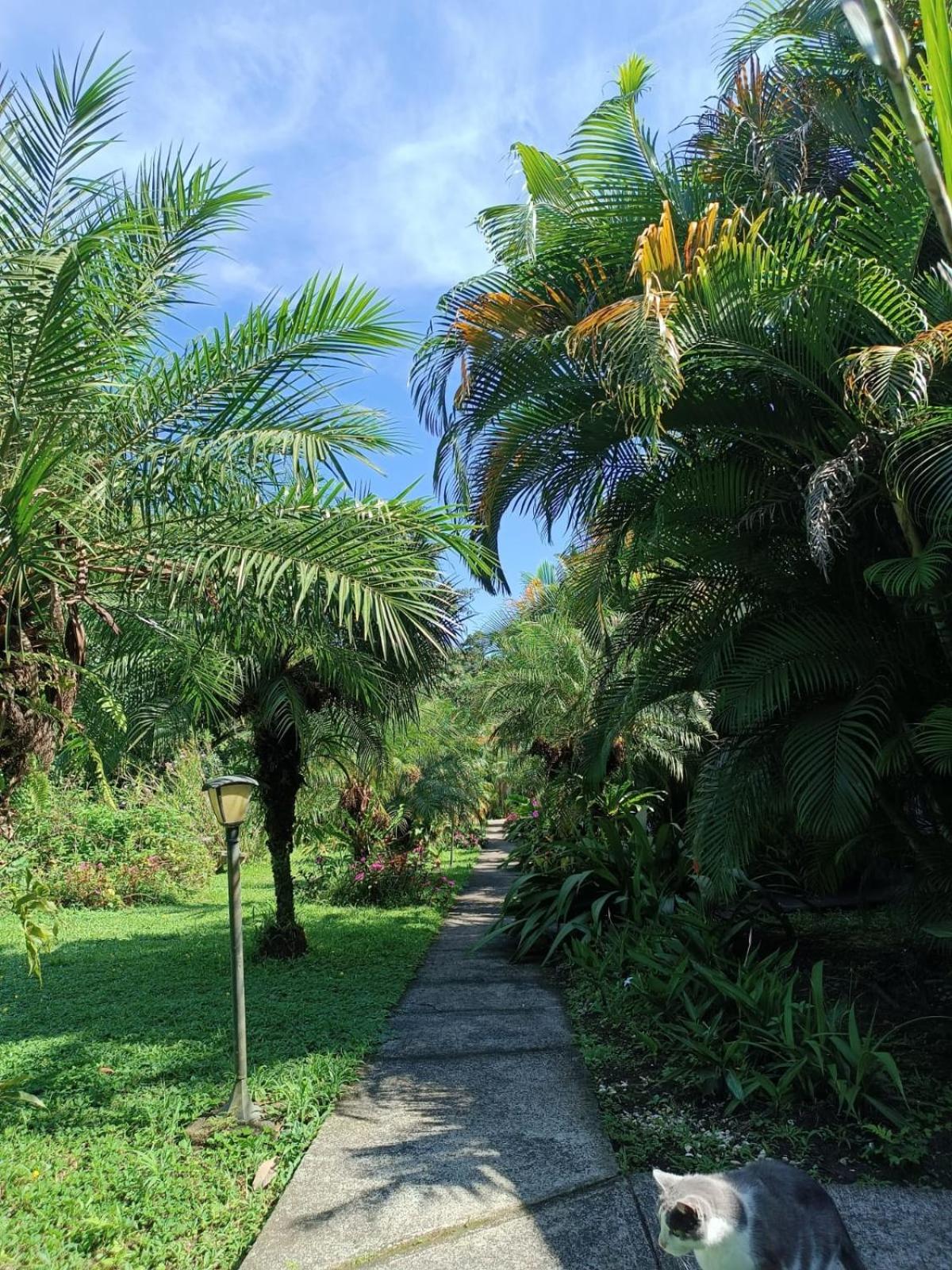 LakeGardens Arenal Condos