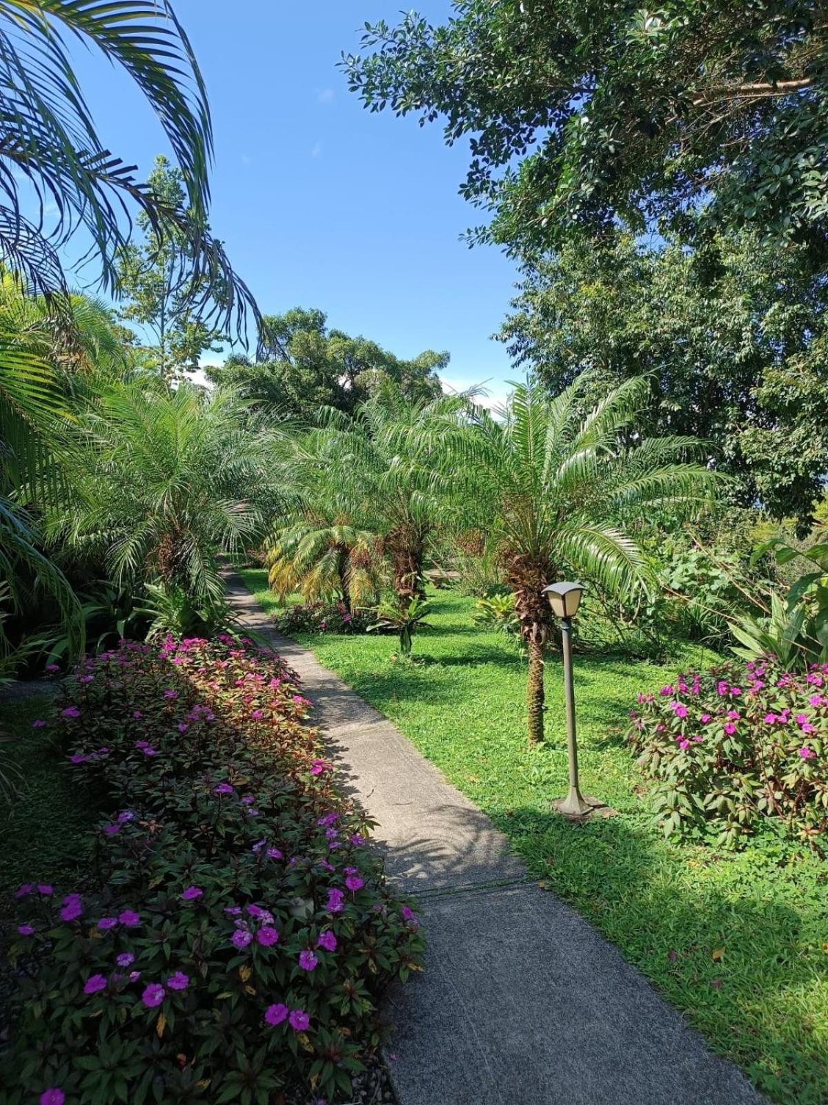 LakeGardens Arenal Condos