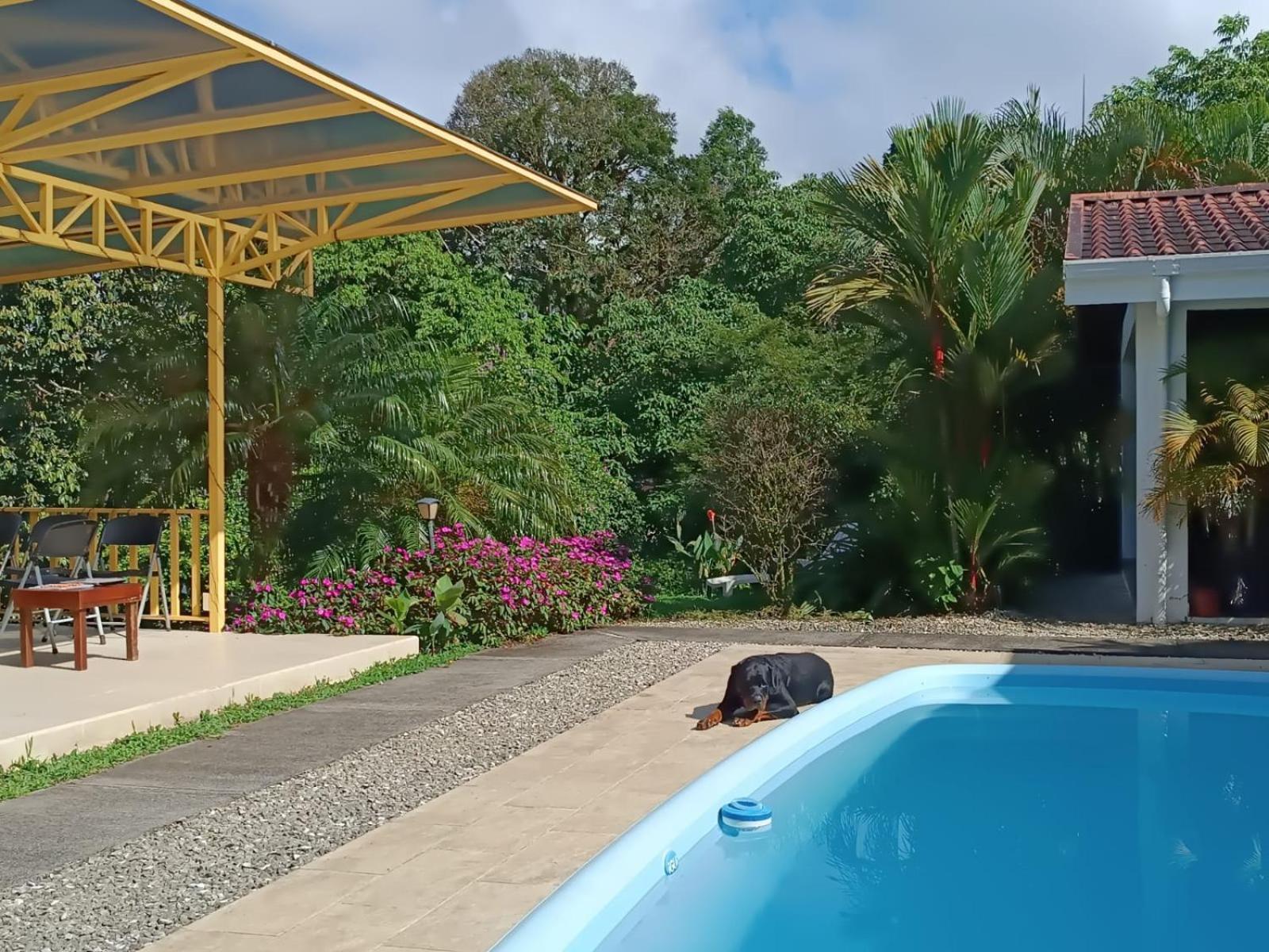 LakeGardens Arenal Condos