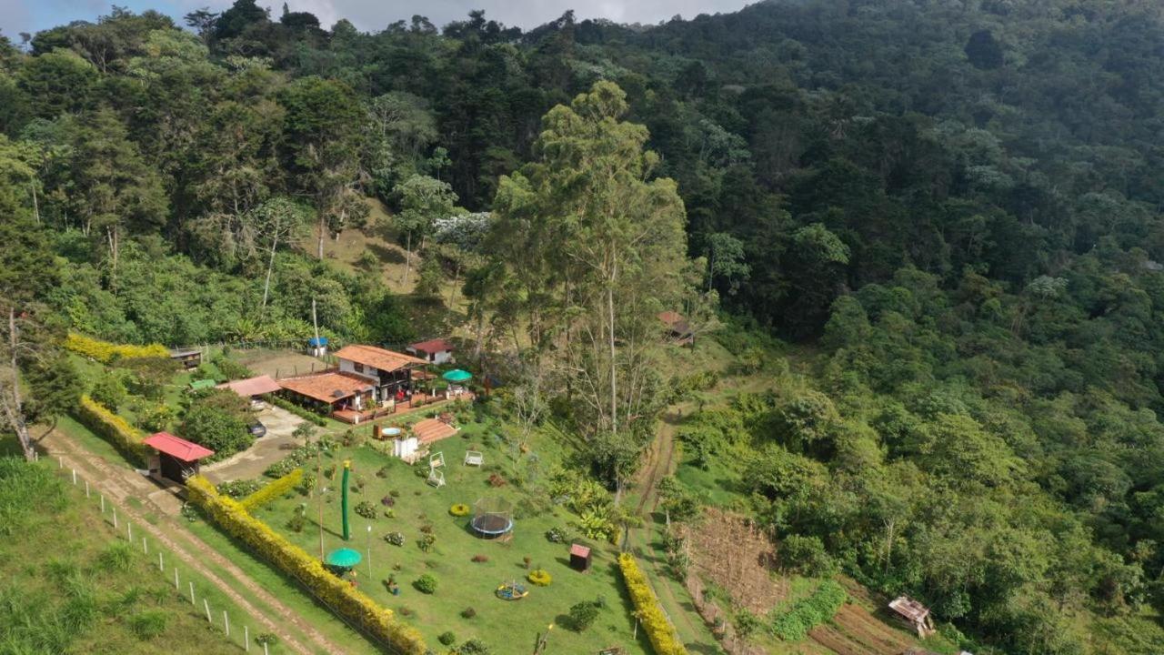 El Barranquero