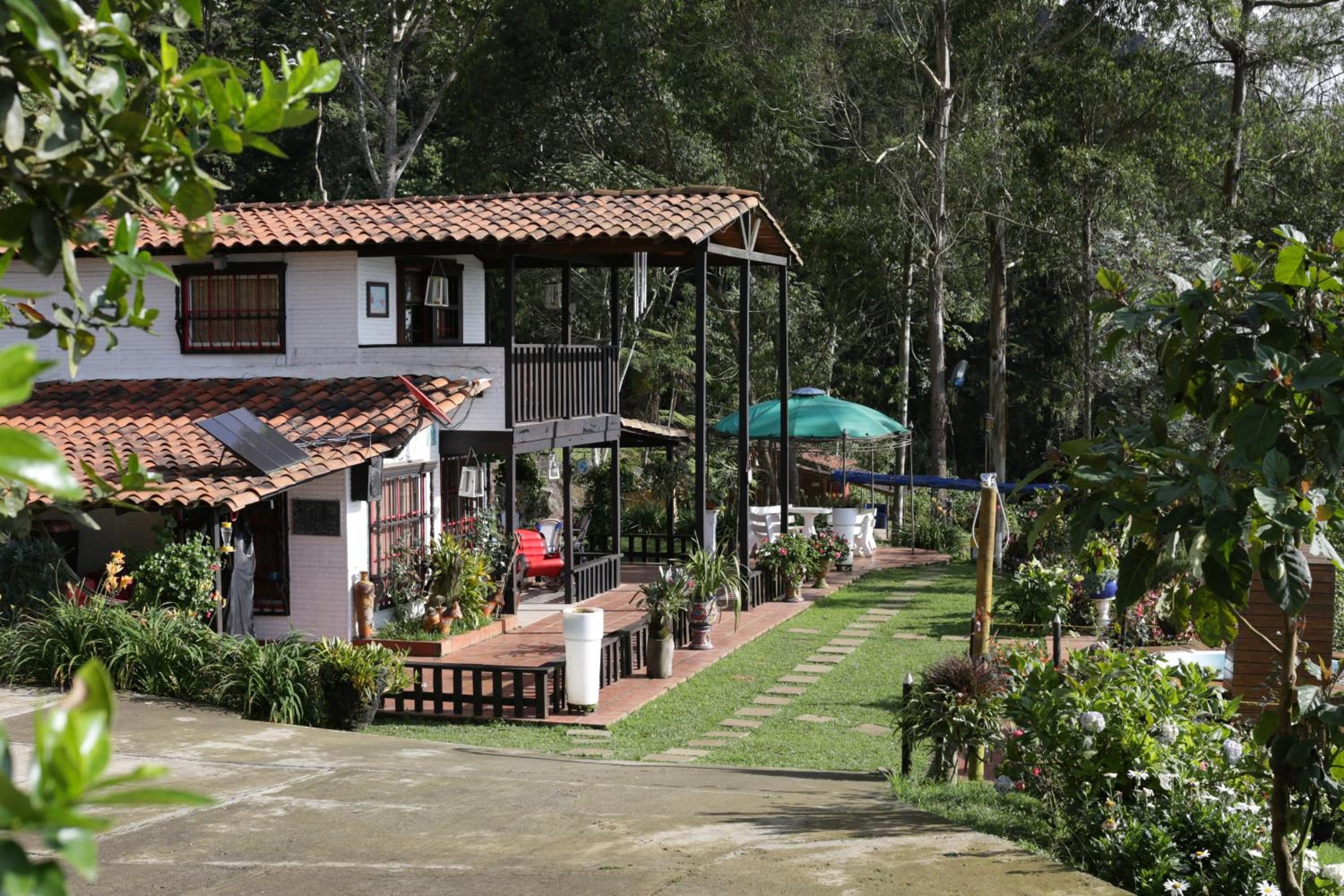 El Barranquero