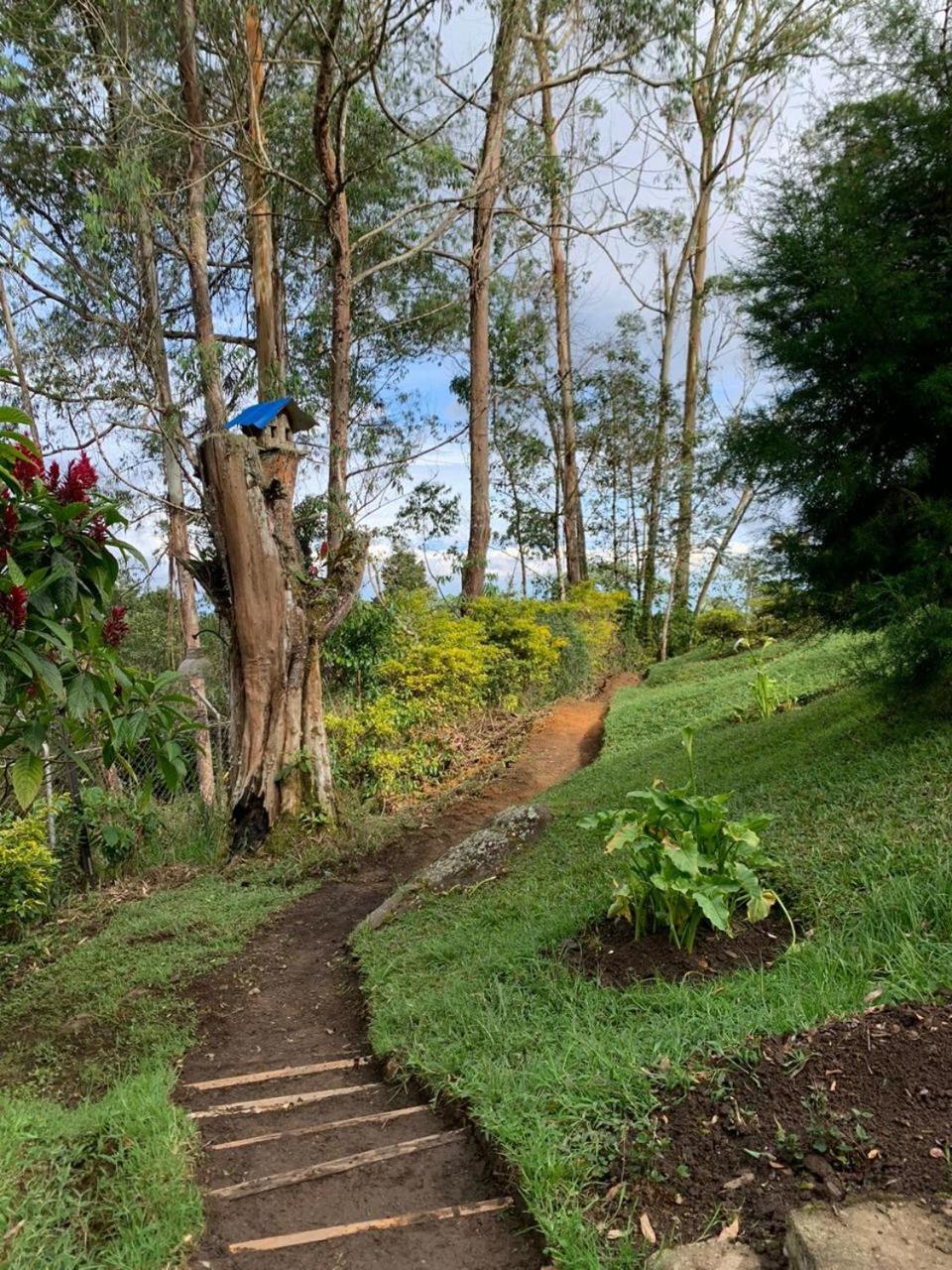 El Barranquero