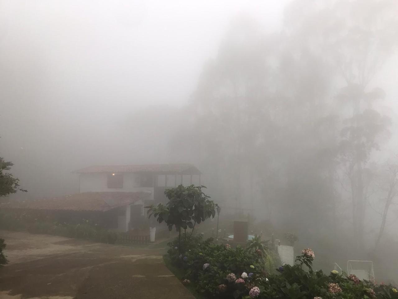 El Barranquero