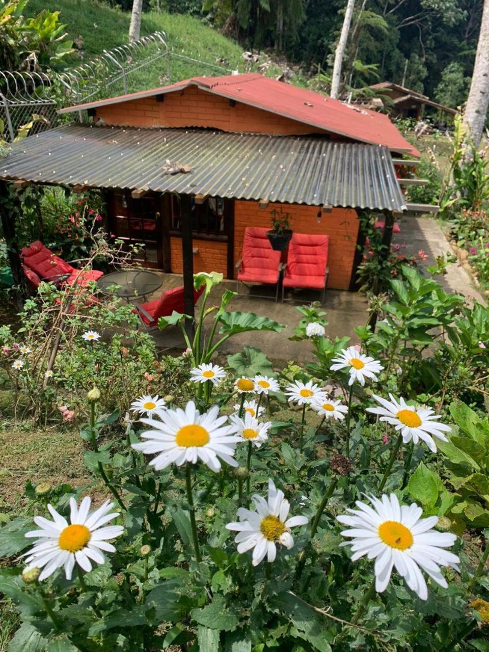 El Barranquero