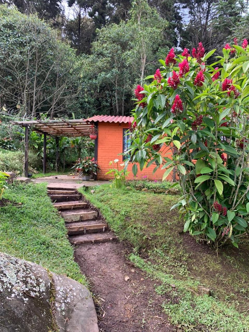 El Barranquero