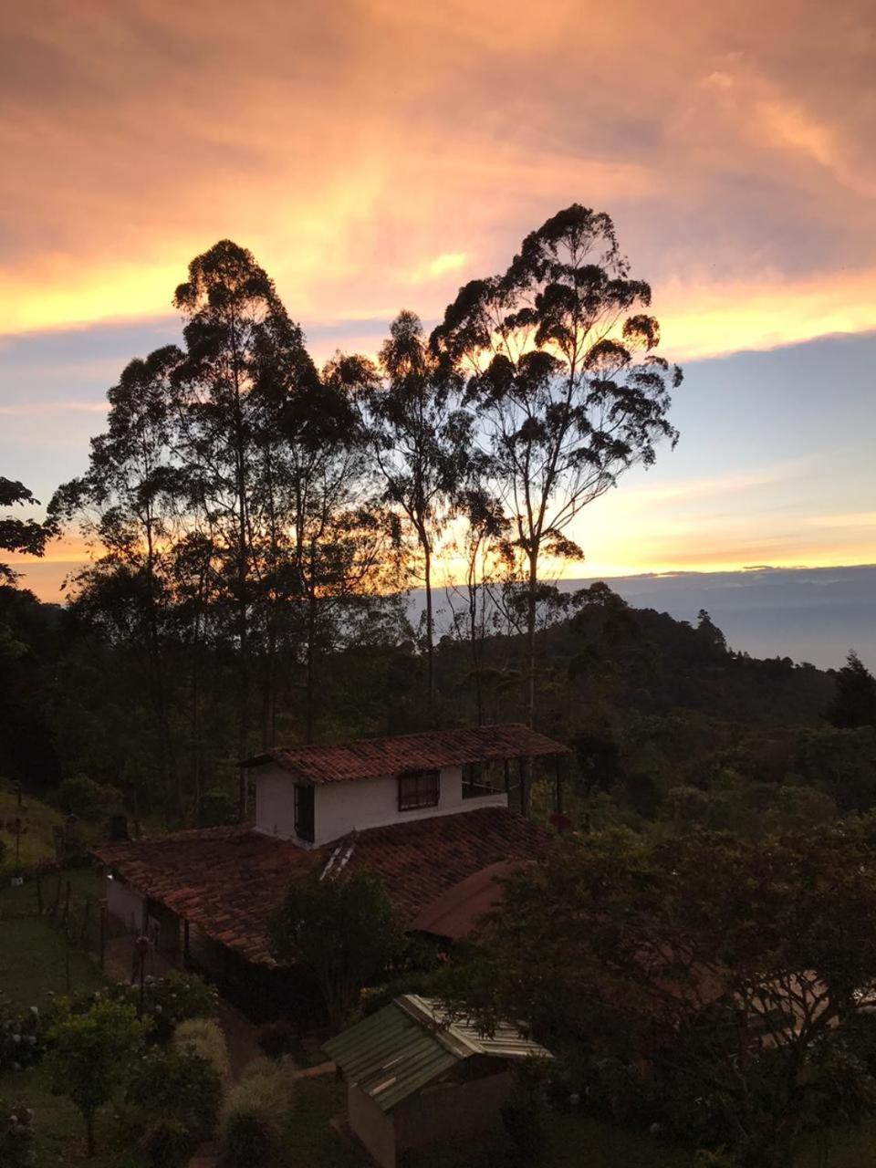 El Barranquero