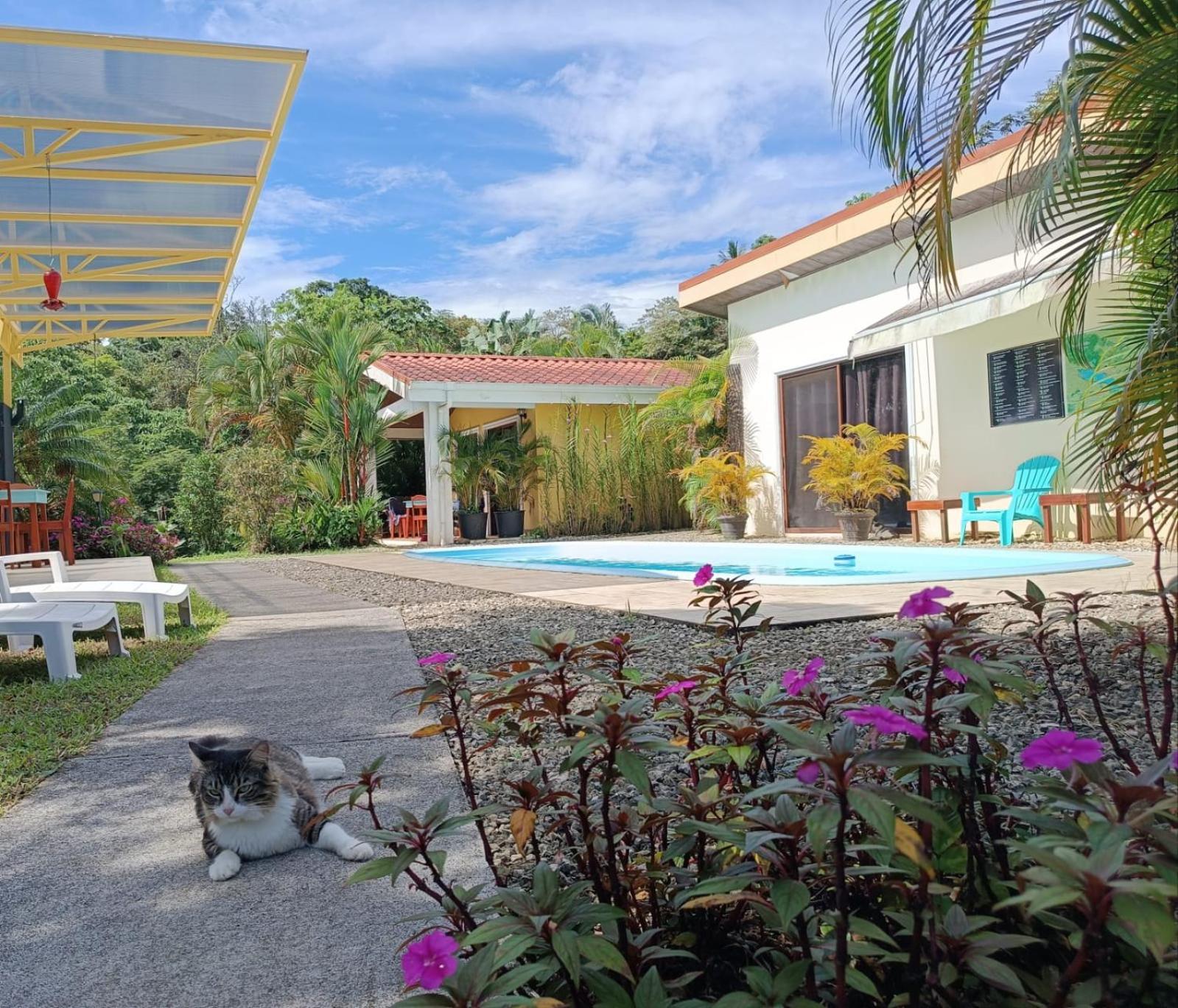 LakeGardens Arenal Condos