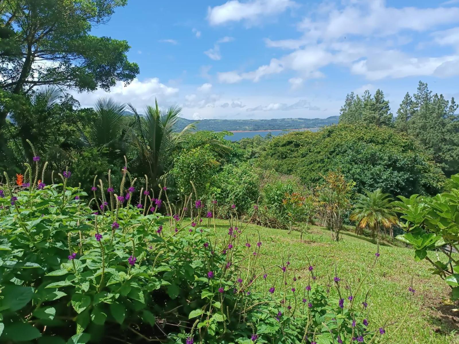 LakeGardens Arenal Condos