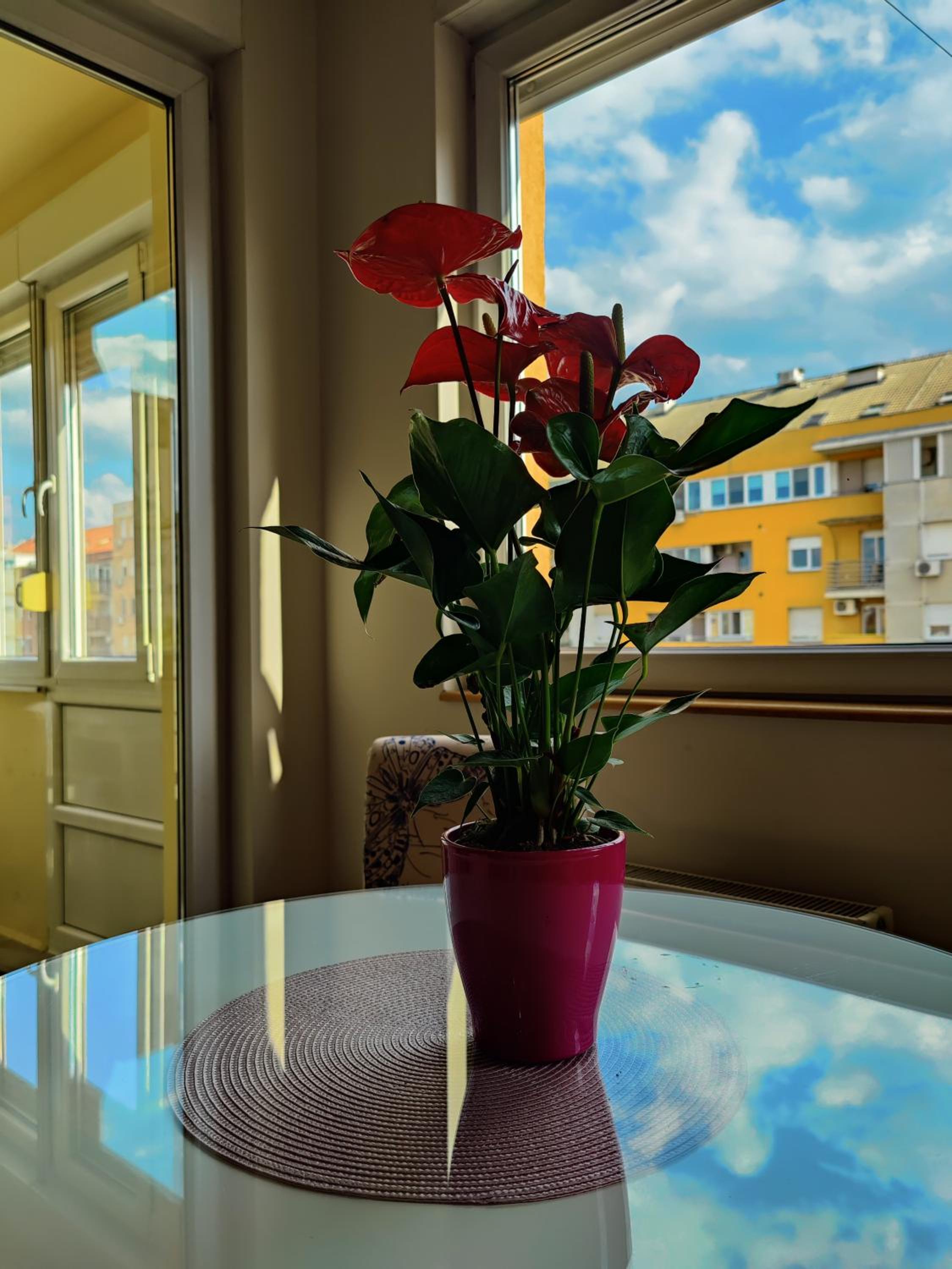Maja Apartment