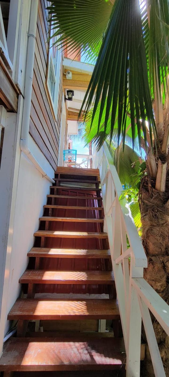 Caye Caulker Boutique Guesthouse 6