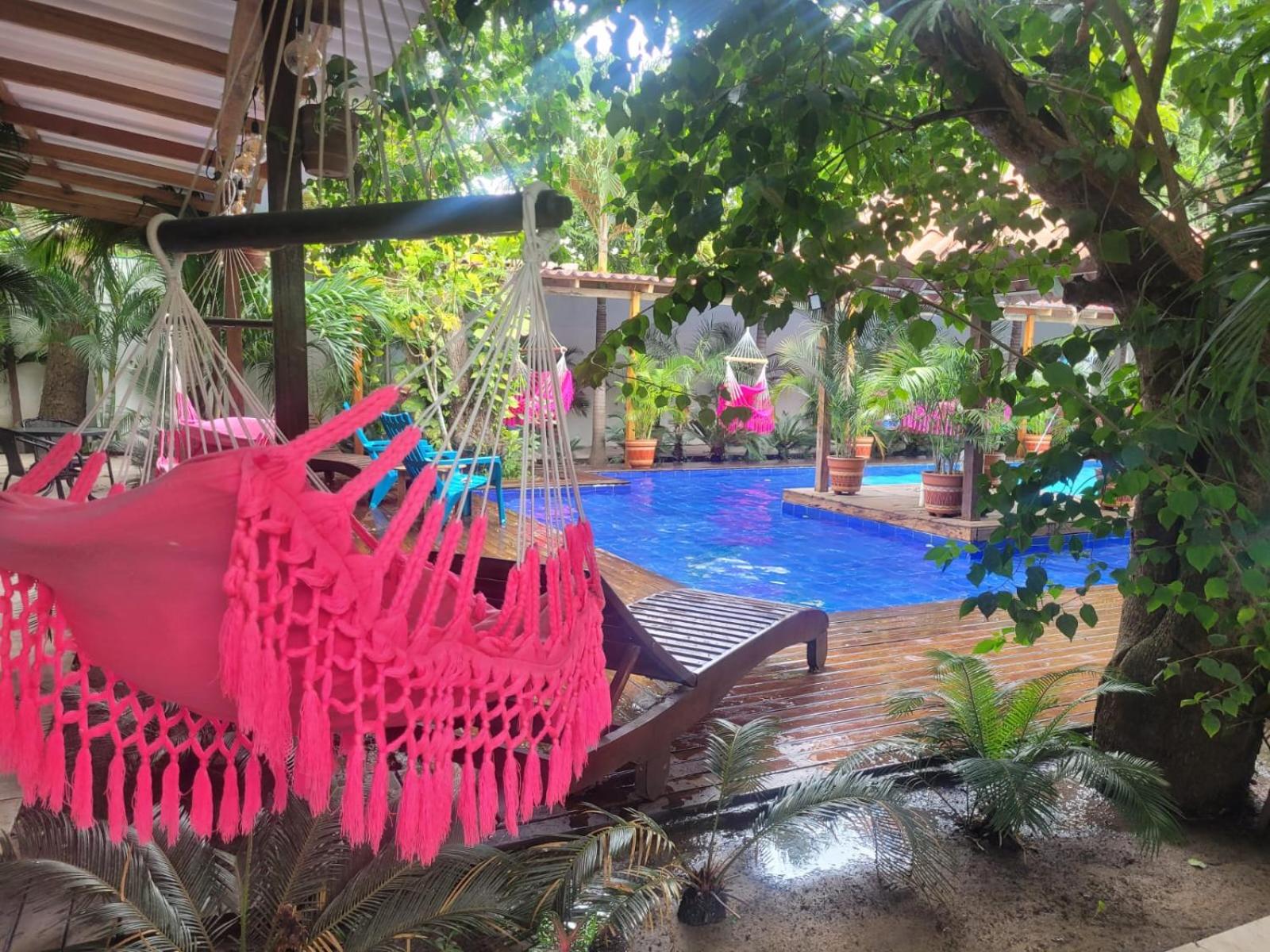 Hostal Hilltop Palomino view 2