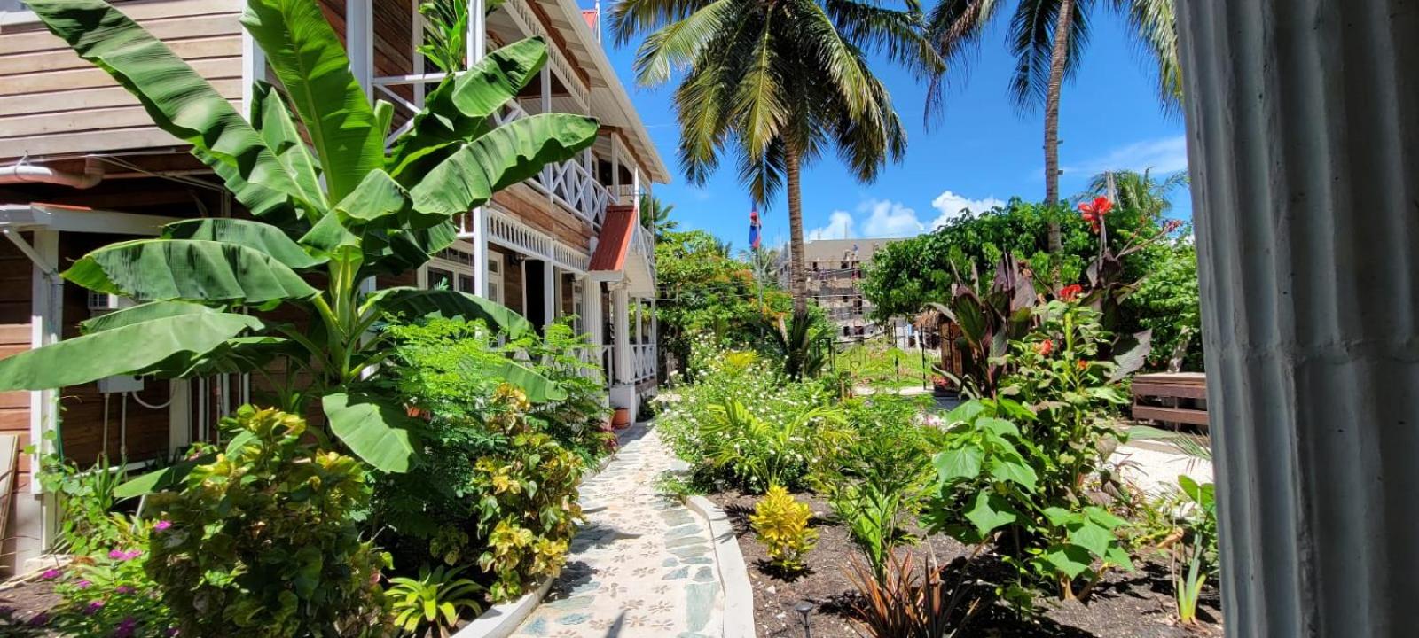 Caye Caulker Boutique Guesthouse 7