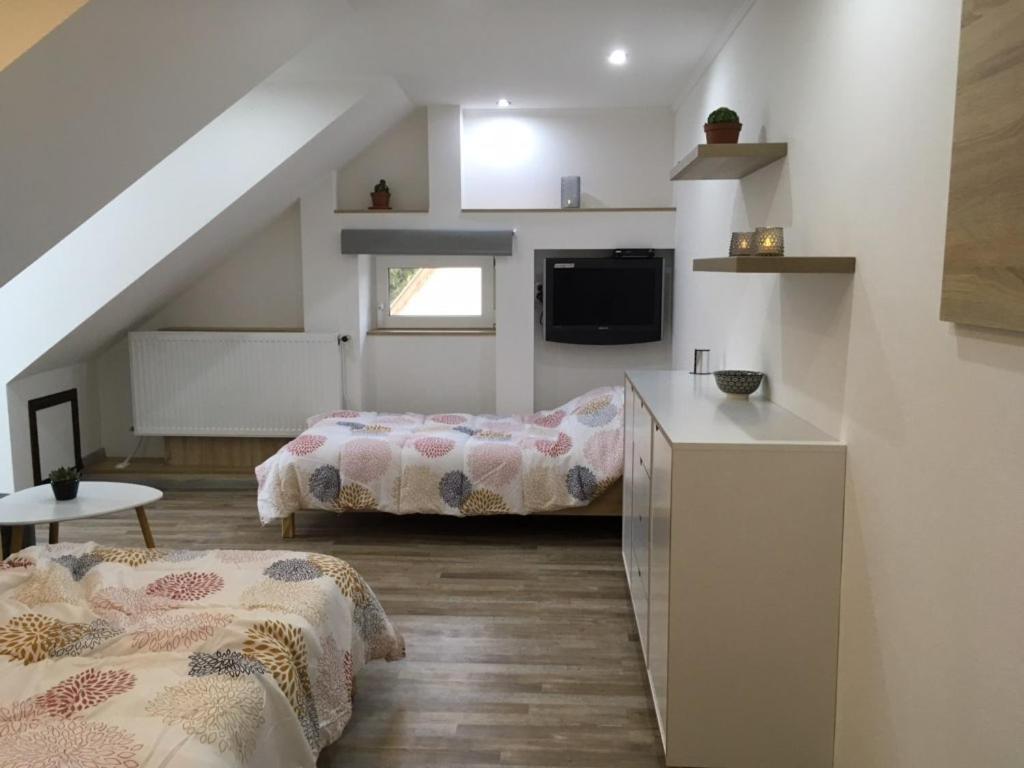 Rabbit apartman