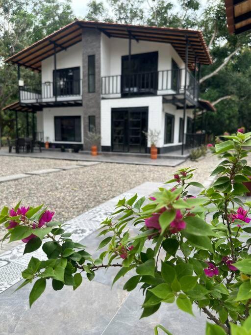 Moderna casa campestre