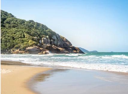 Brava Studios Floripa