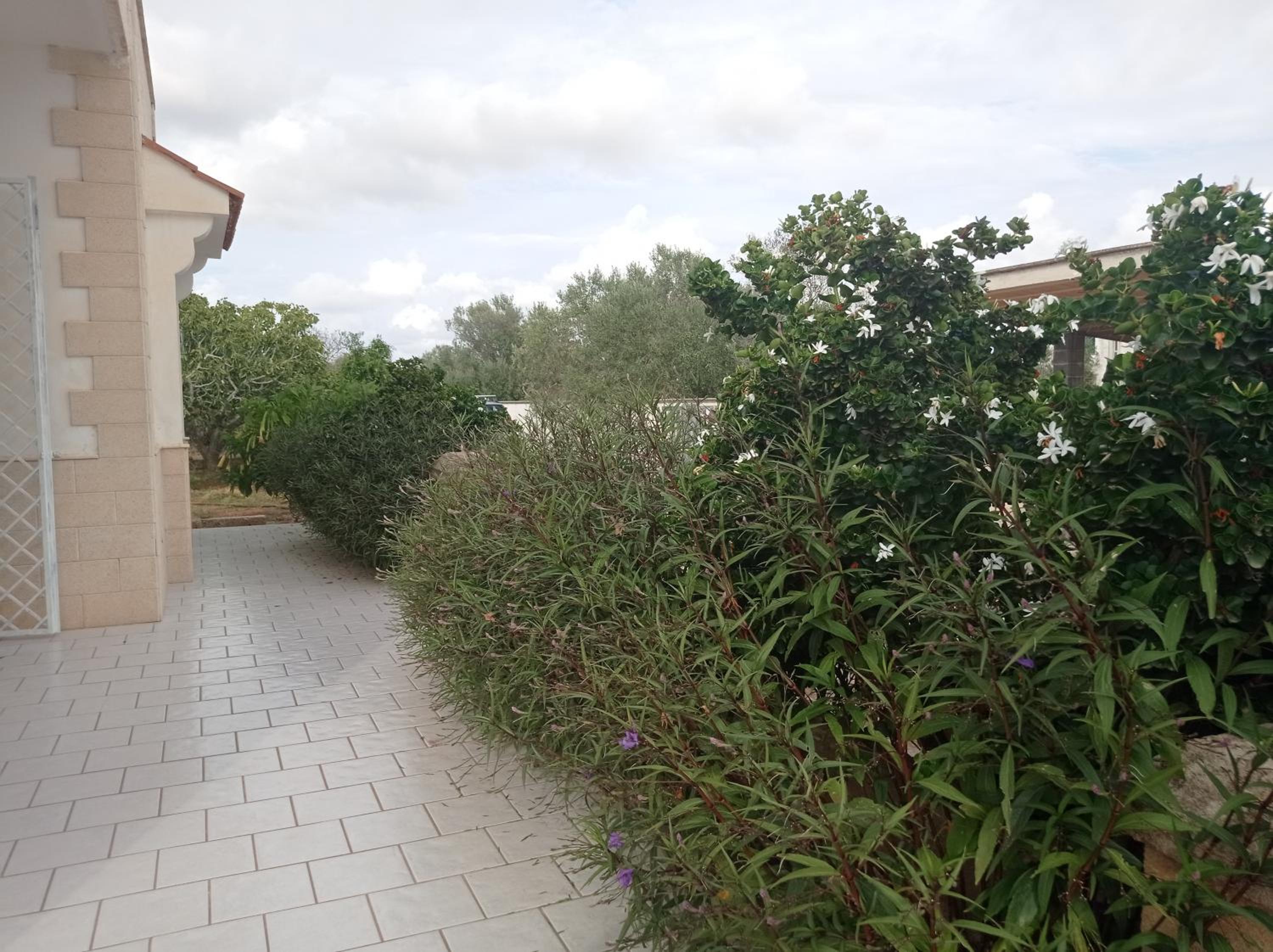 Casa vacanze Salento Nonno Totò view 2